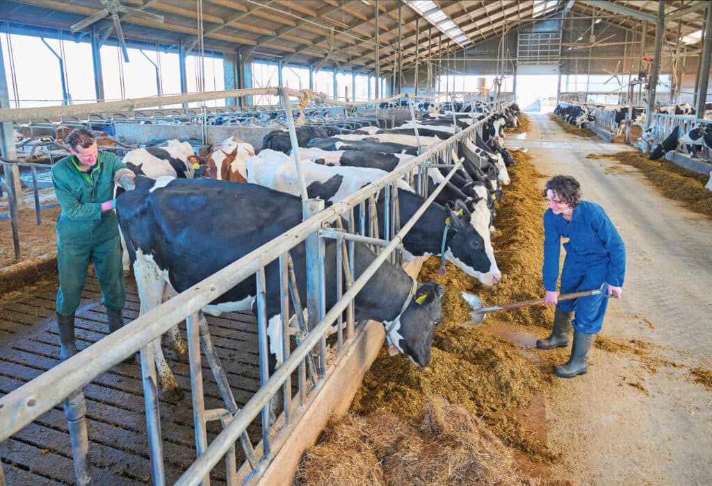 Nico en Noortje runnen de boerderij samen. In grote lijnen verzint zij de plannen en is Nico de uitvoerder.