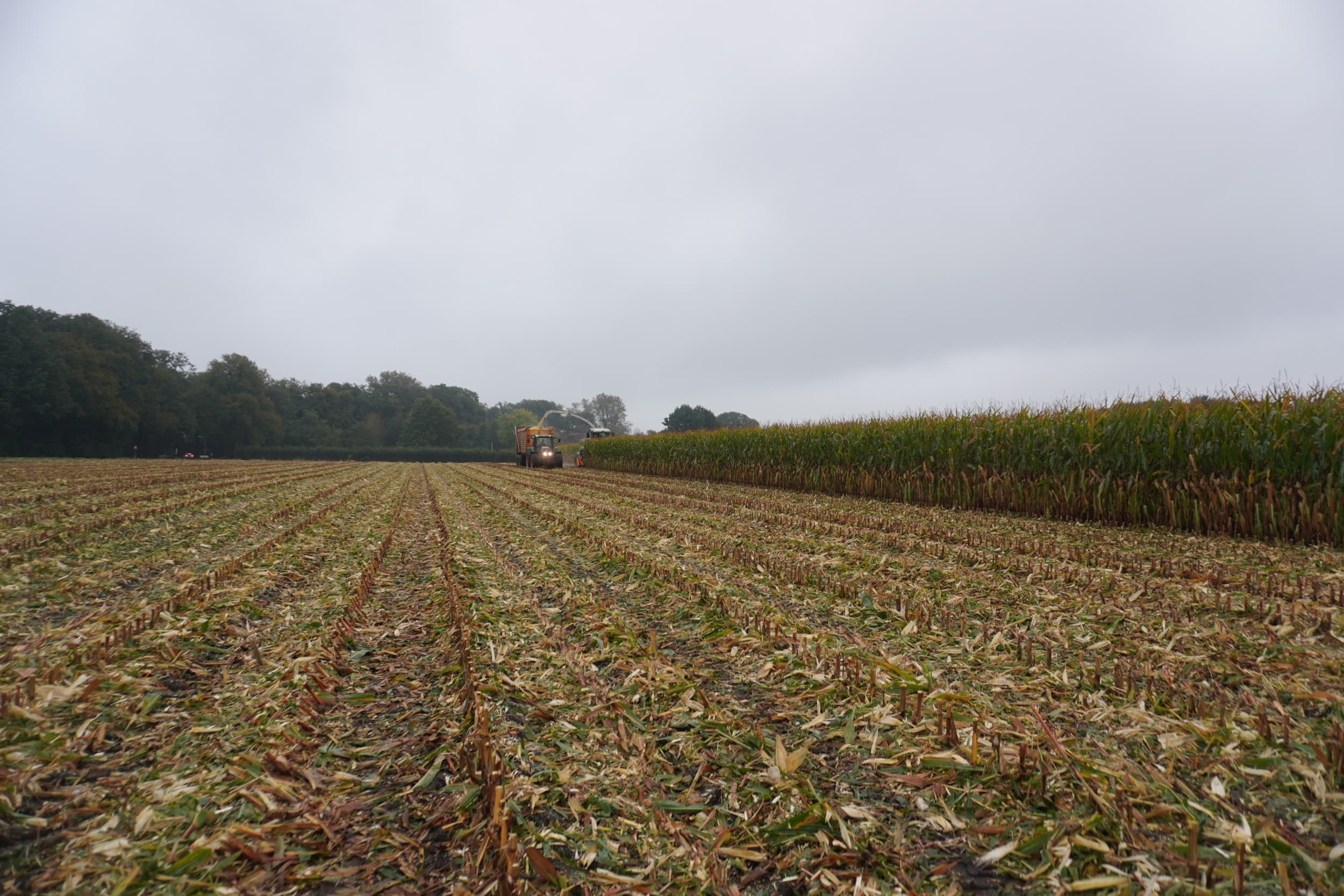 analyse inkomensraming agrarische sector WUR