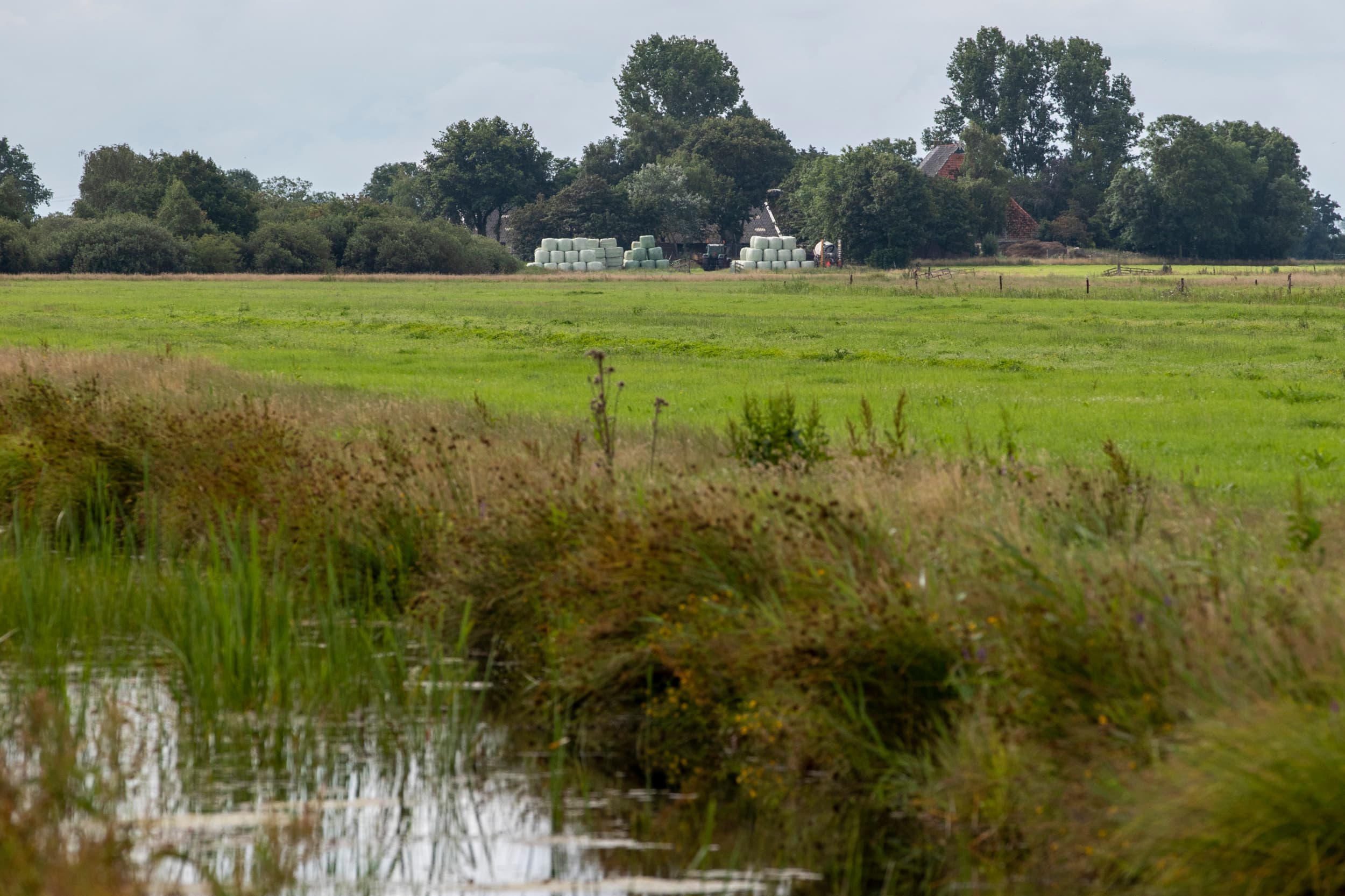 Het areaal agrarisch natuur- en landschapsbeheer (ANlb) is vorig jaar gestegen. In 2023 kwam er circa 12.000 hectare bij. Foto: Anne van der Woude