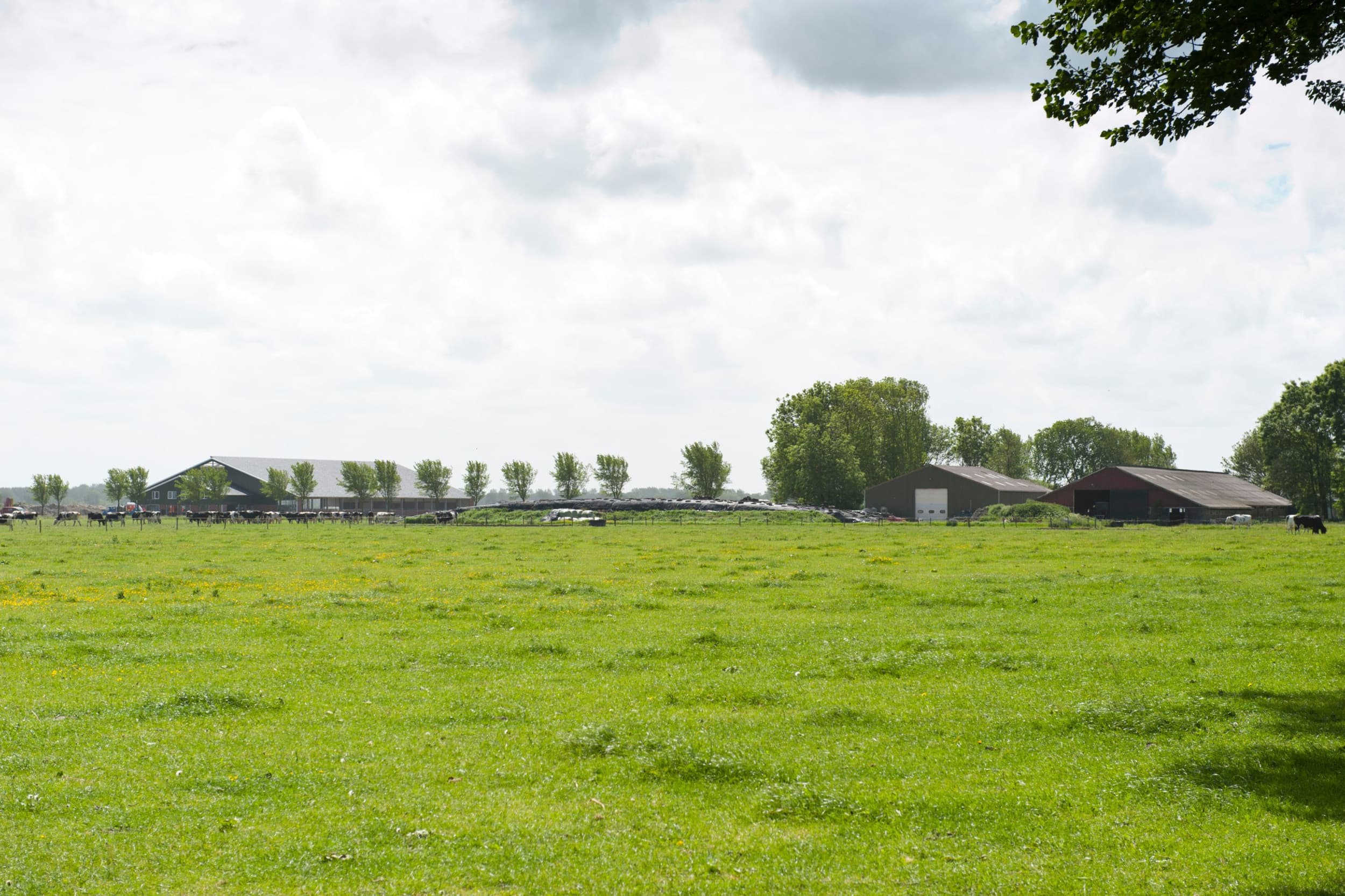 De Raad van State oordeelt dat ook intern salderen vergunningsplichtig is. Foto: Natzijl, Fotostudio Wick