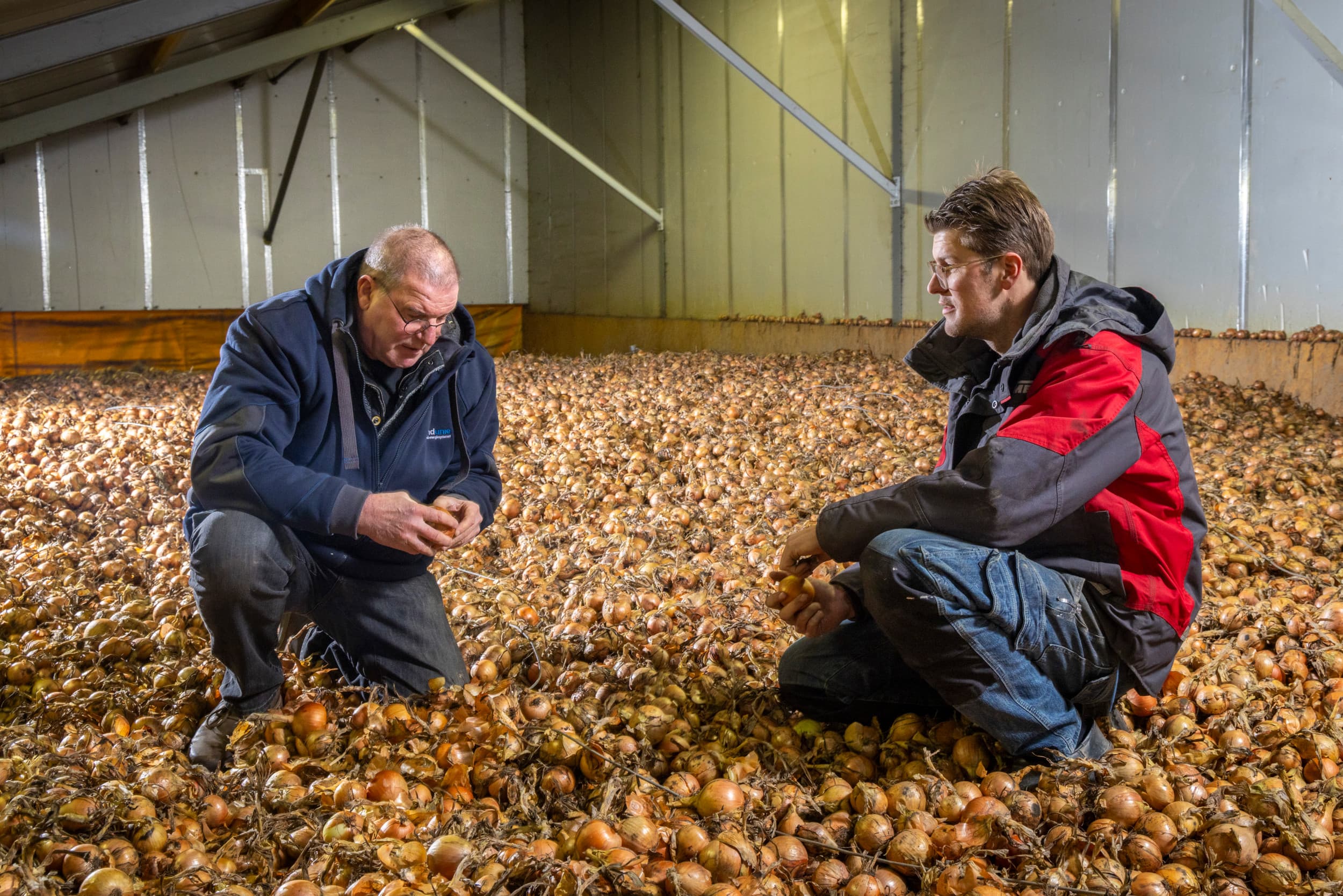 Ralph en Maarten de Clerck telen in Lelystad zowel biologische als gangbare akkerbouwgewassen. Foto’s: Koos Groenewold