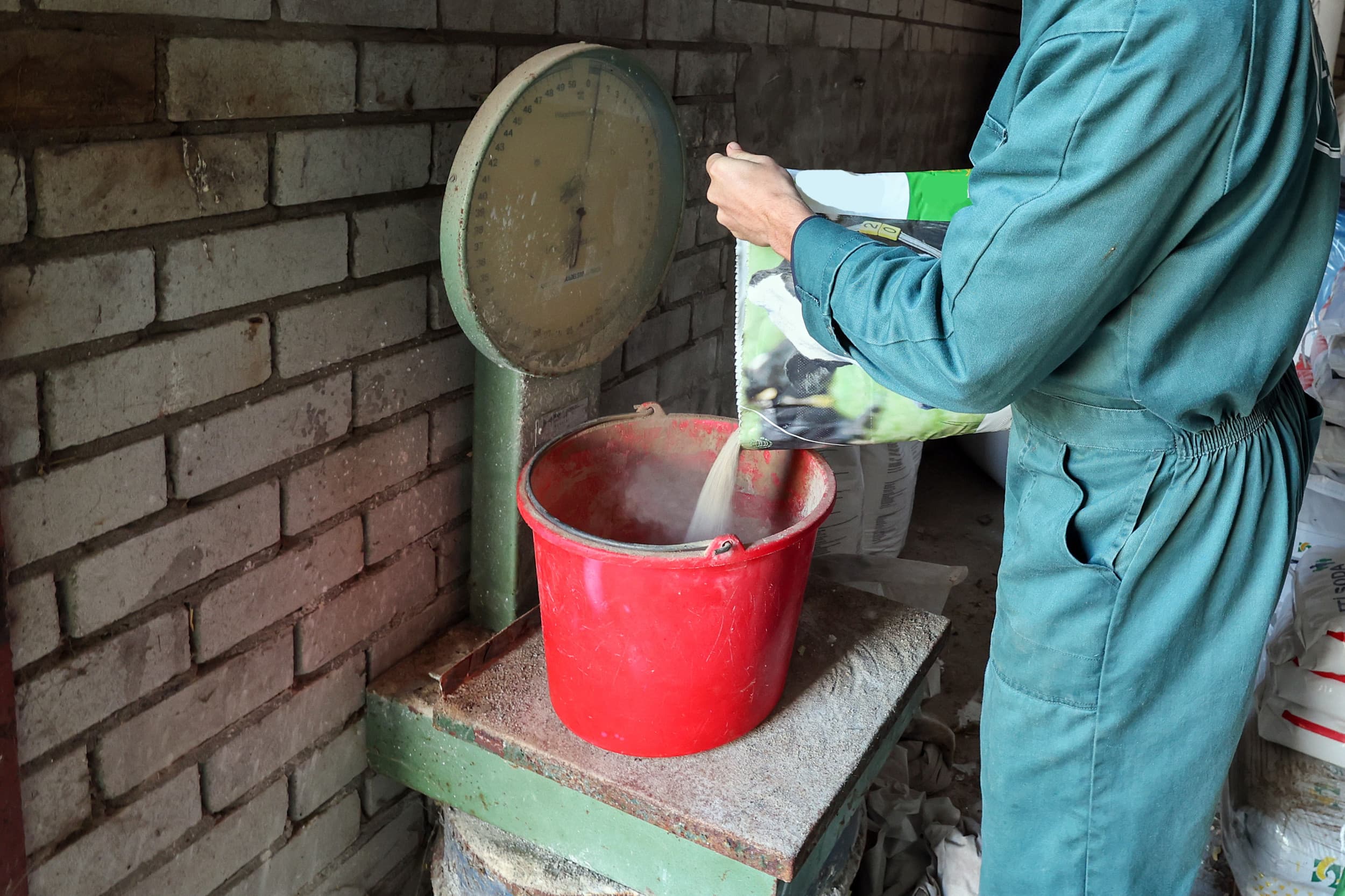 Gebruik van Bovaer. Foto: Bert Jansen