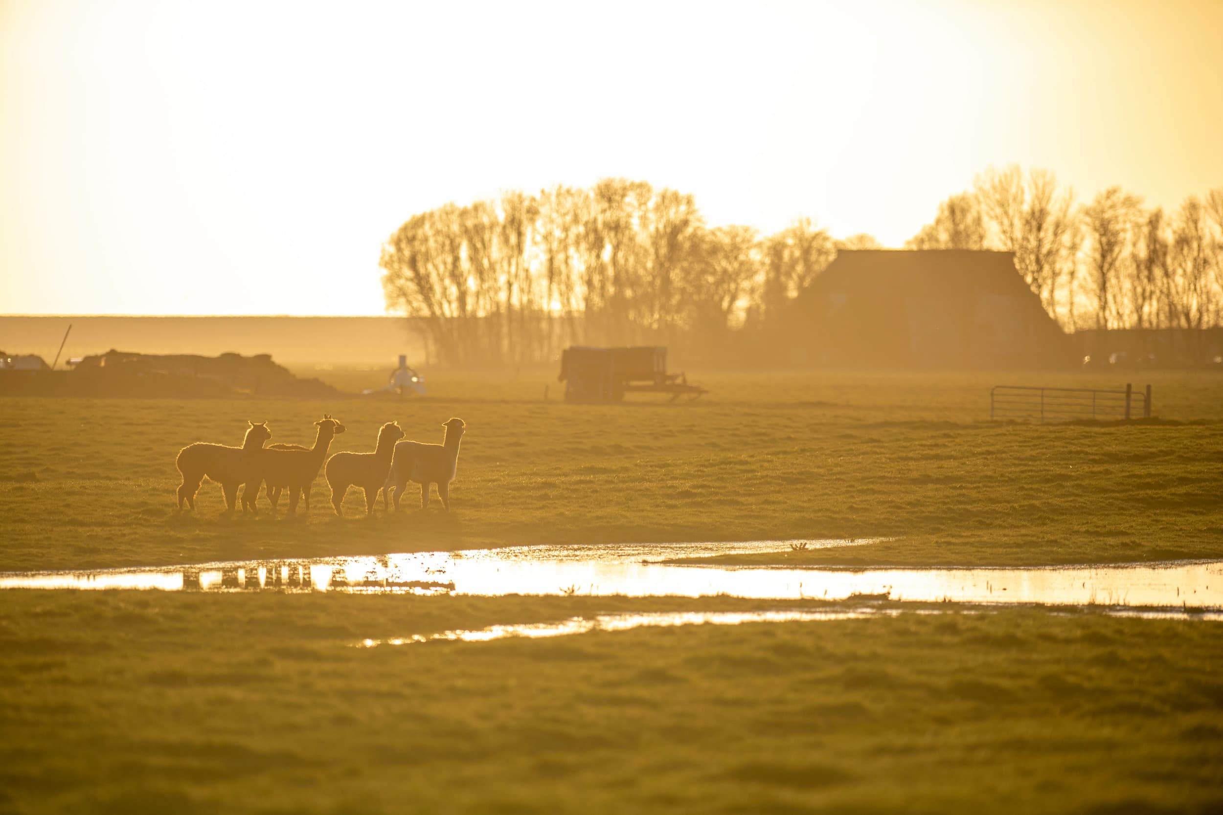 pacht natuurgrond GLB-toeslag