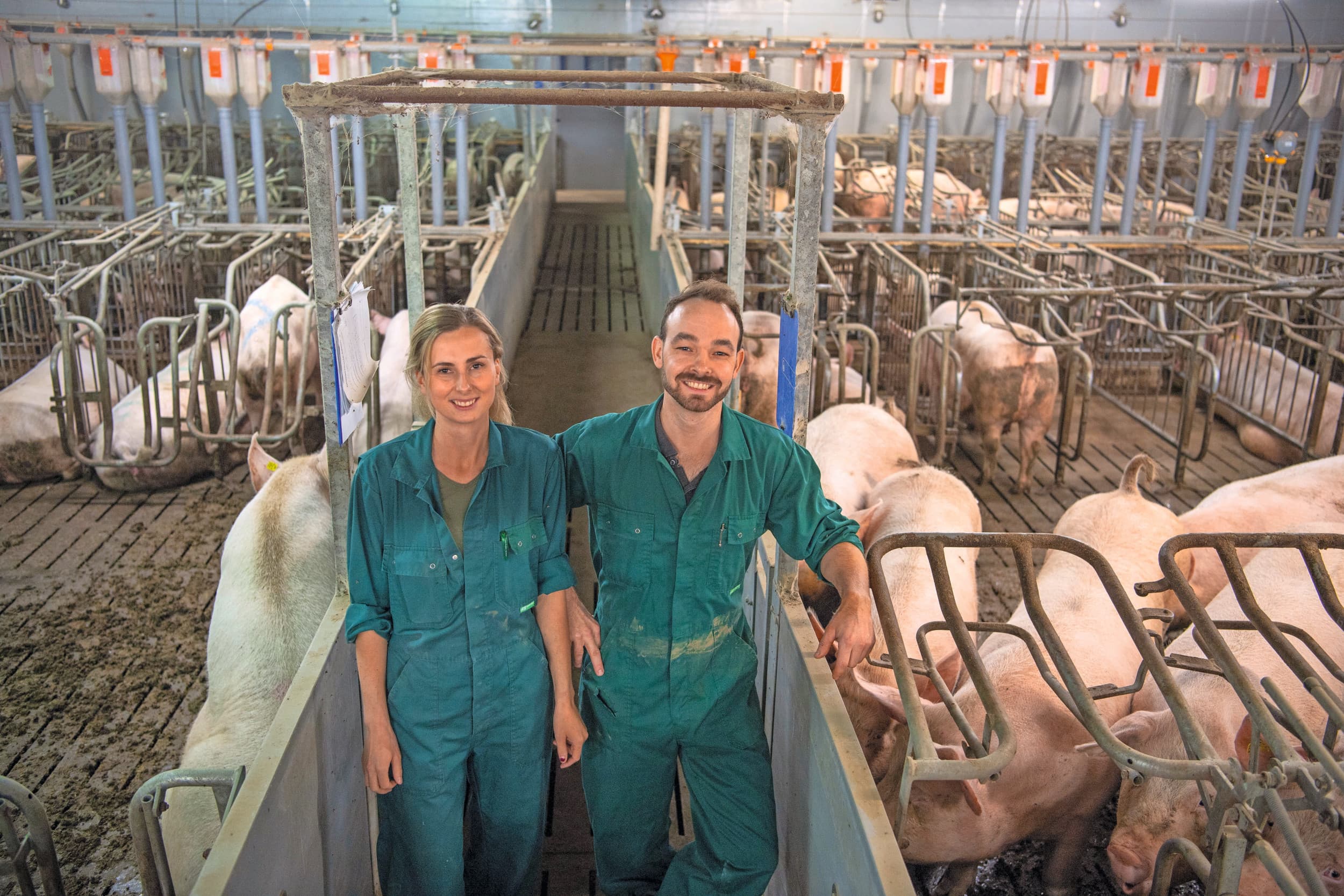 Sarah van den Berg en Dirk Thijssen hebben recent de stap nog gezet en zijn hun eigen zeugenbedrijf gestart in het Oosten van Duitsland. Een bewuste keuze die goed uitpakt tot dusver. Foto: Mark Pasveer