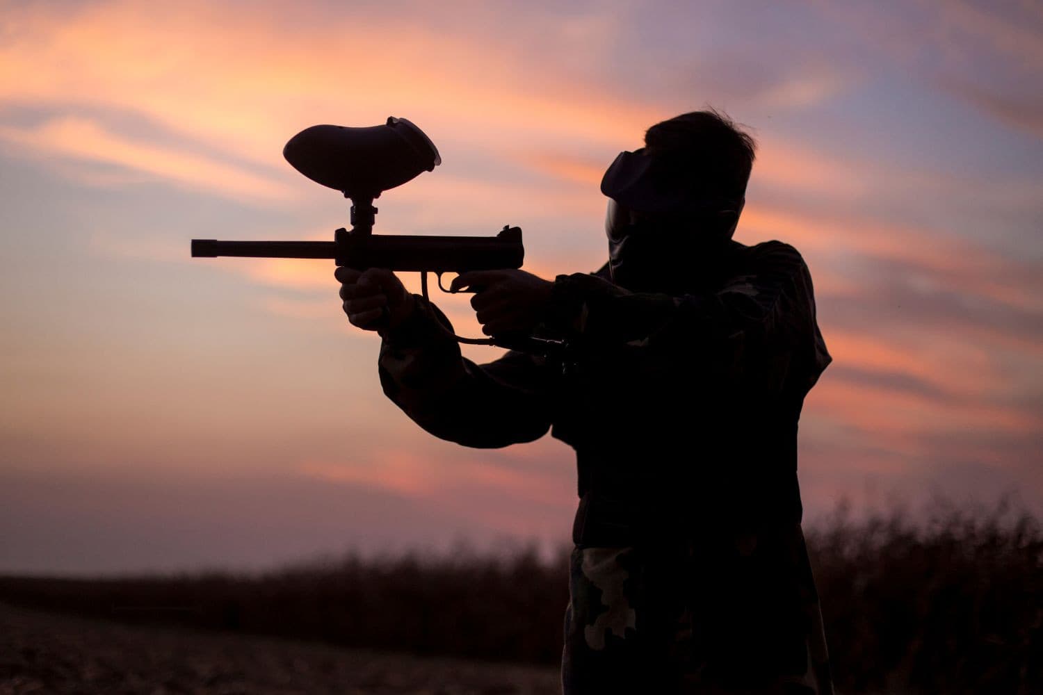 Gelderland wil wolven die niet bang zijn voor mensen met een paintballgeweer beschieten, zodat ze weer bang worden. Foto: Canva