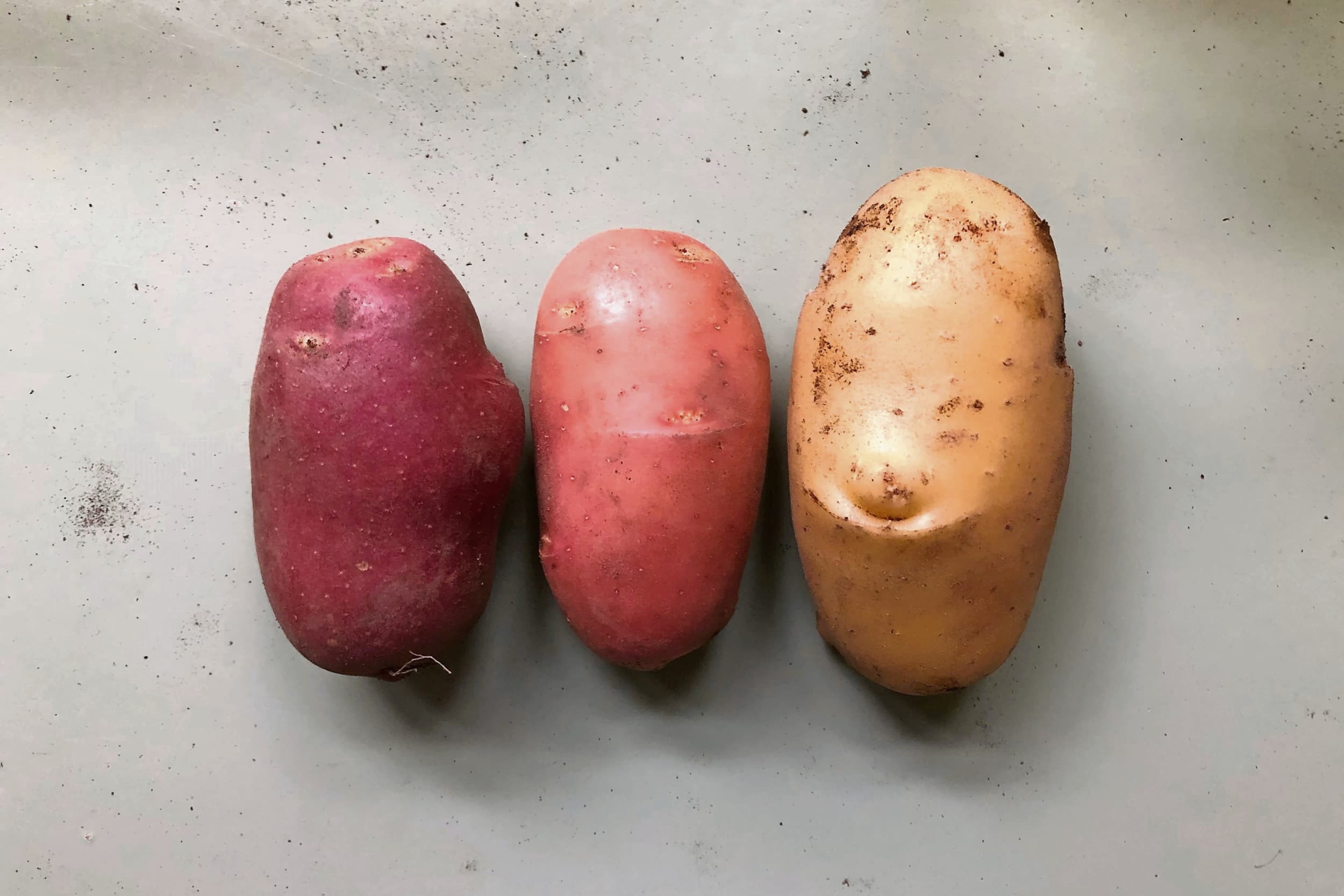 Keygene aardappelras