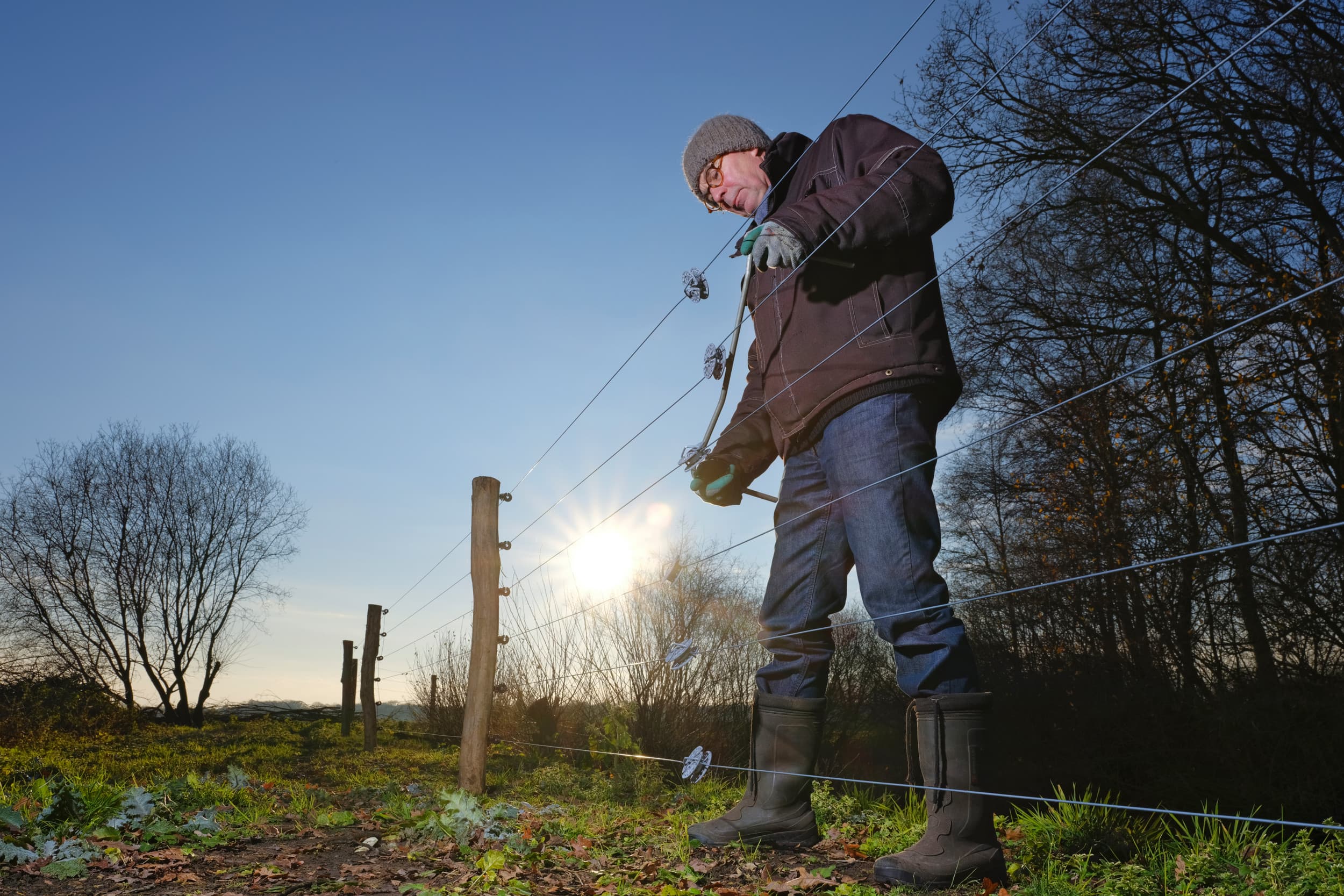 Uit gegevens van BIJ12 blijkt ook dat boeren die wel wolfwerende maatregelen hebben genomen, geconfronteerd worden met een wolvenaanval. Foto: Ruud Ploeg