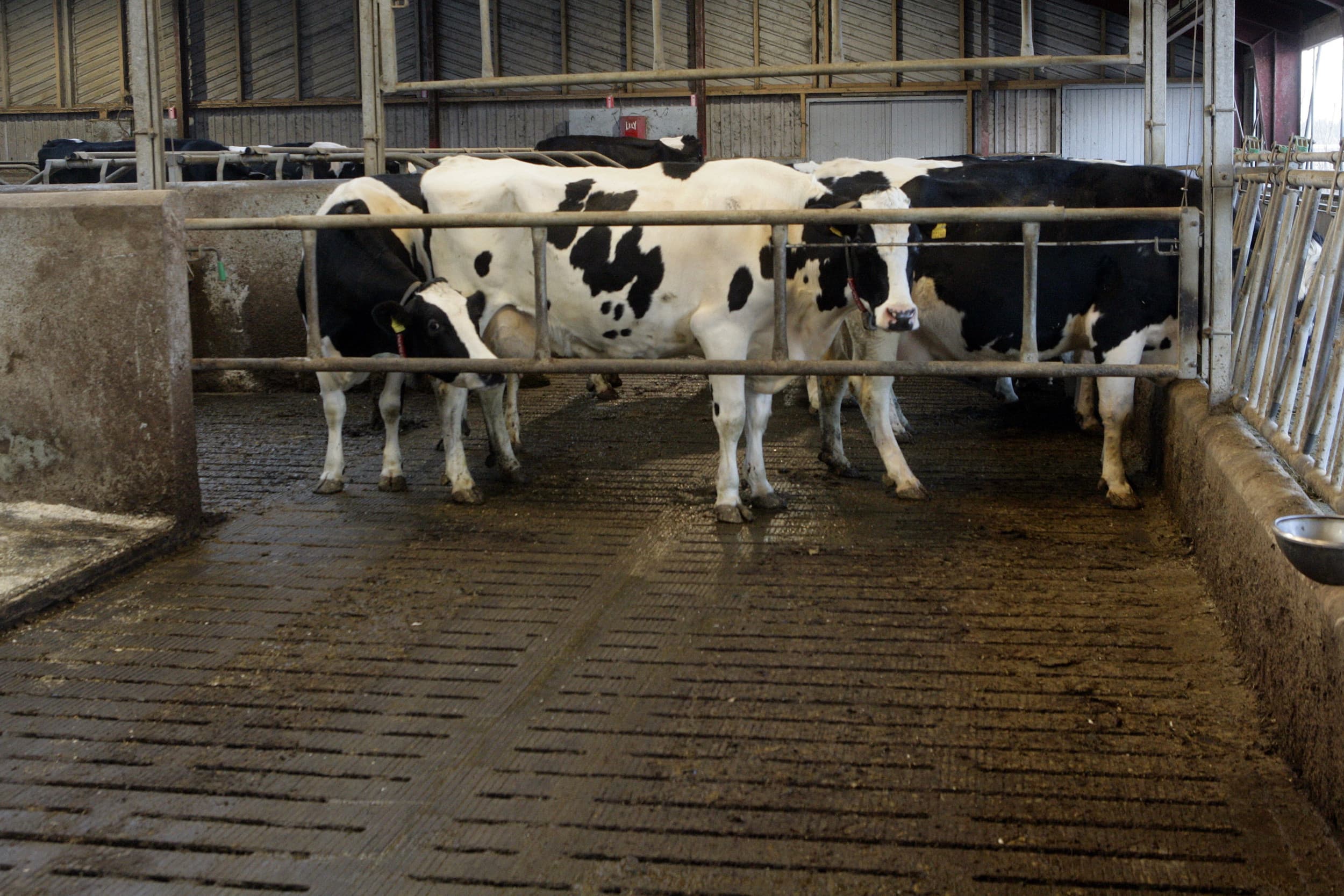MKZ overname FirstFarms klapt
