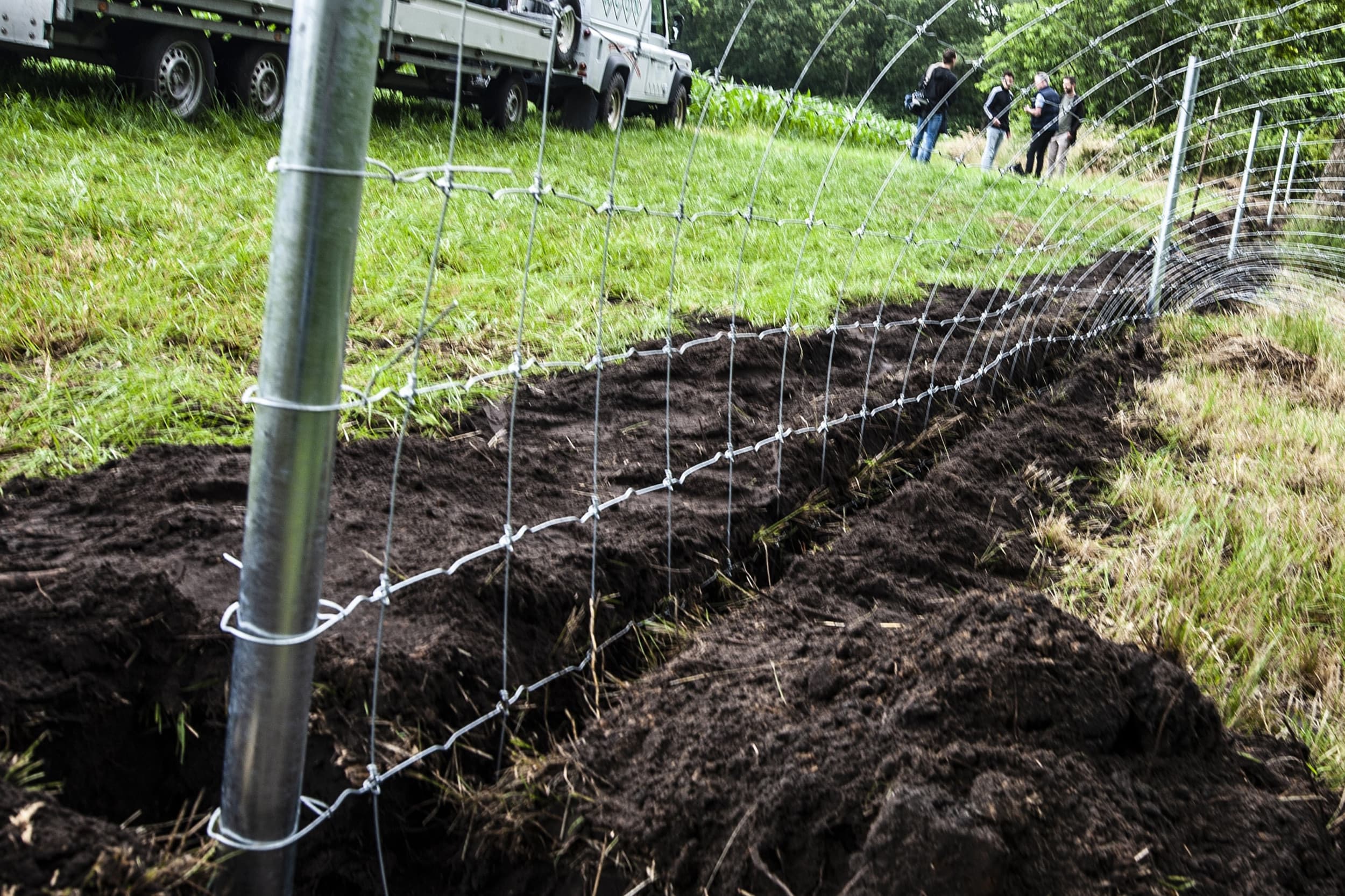 Gelderland keerde ruim €2 miljoen subsidie uit voor wolfwerende rasters, die 21.000 dieren beter beschermen tegen wolven. Foto: ANP