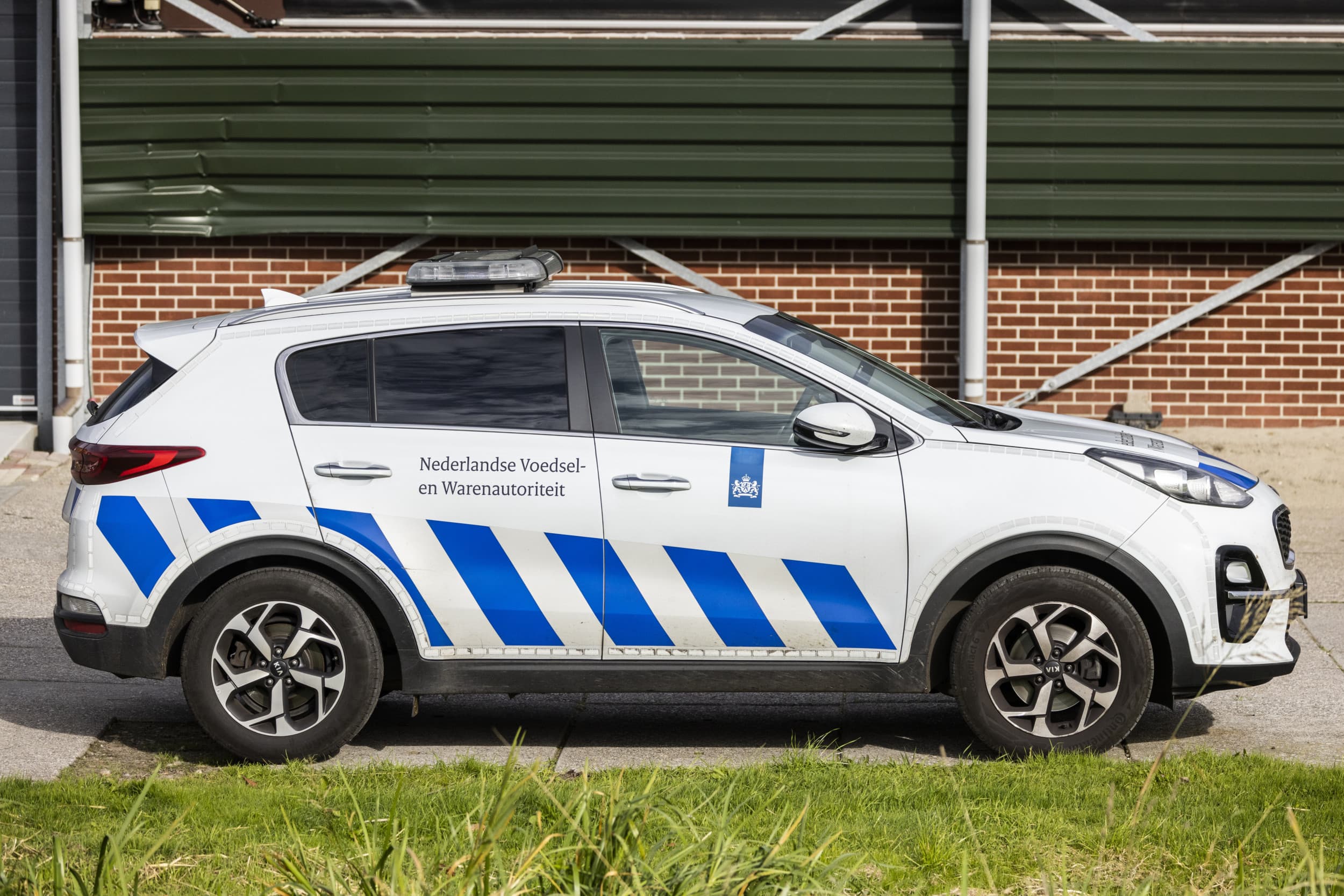 De NVWA heeft na onderzoek vastgesteld dat er op geen van de twaalf pluimveebedrijven in de 3-kilometerzone rondom het besmette bedrijf in Putten vogelgriep is aangetroffen. Foto: ANP