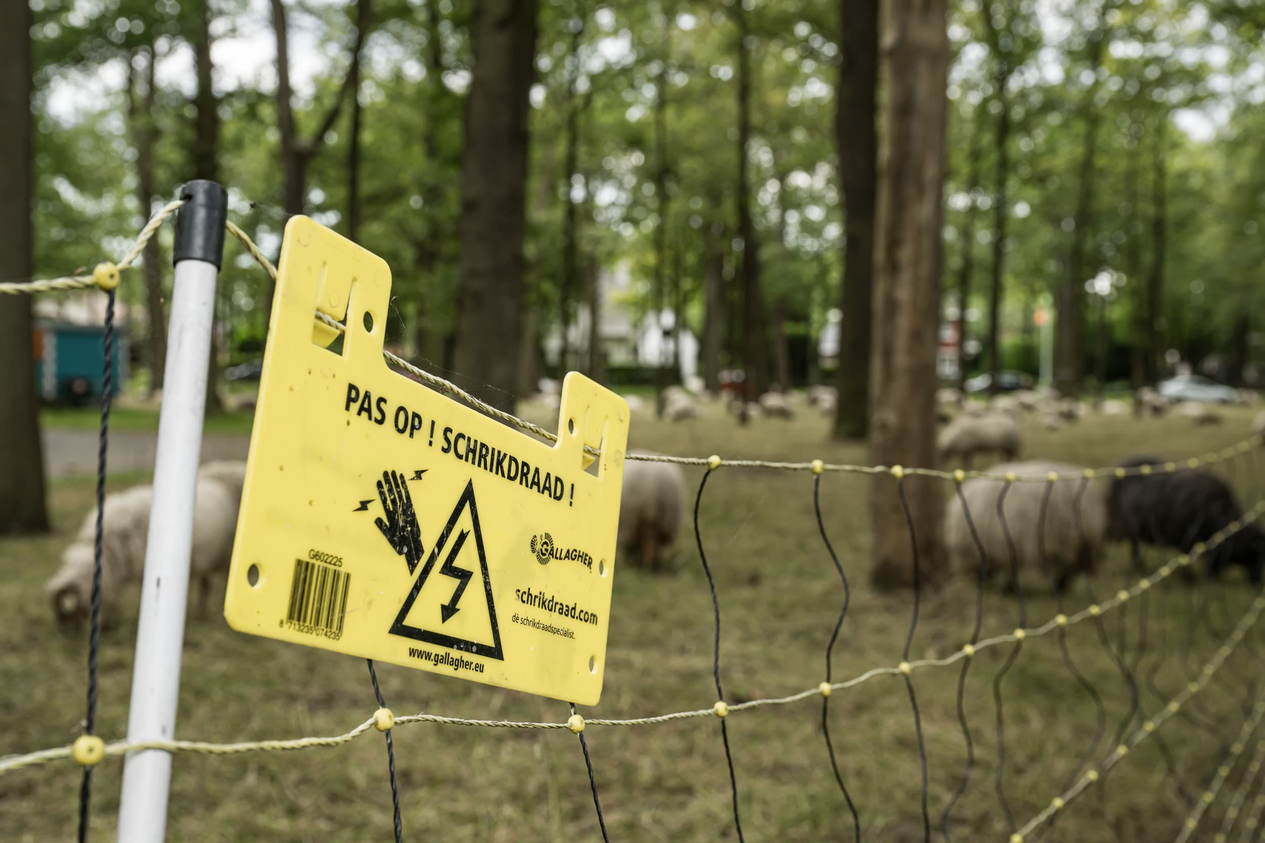 provincies wolfwerende rasters