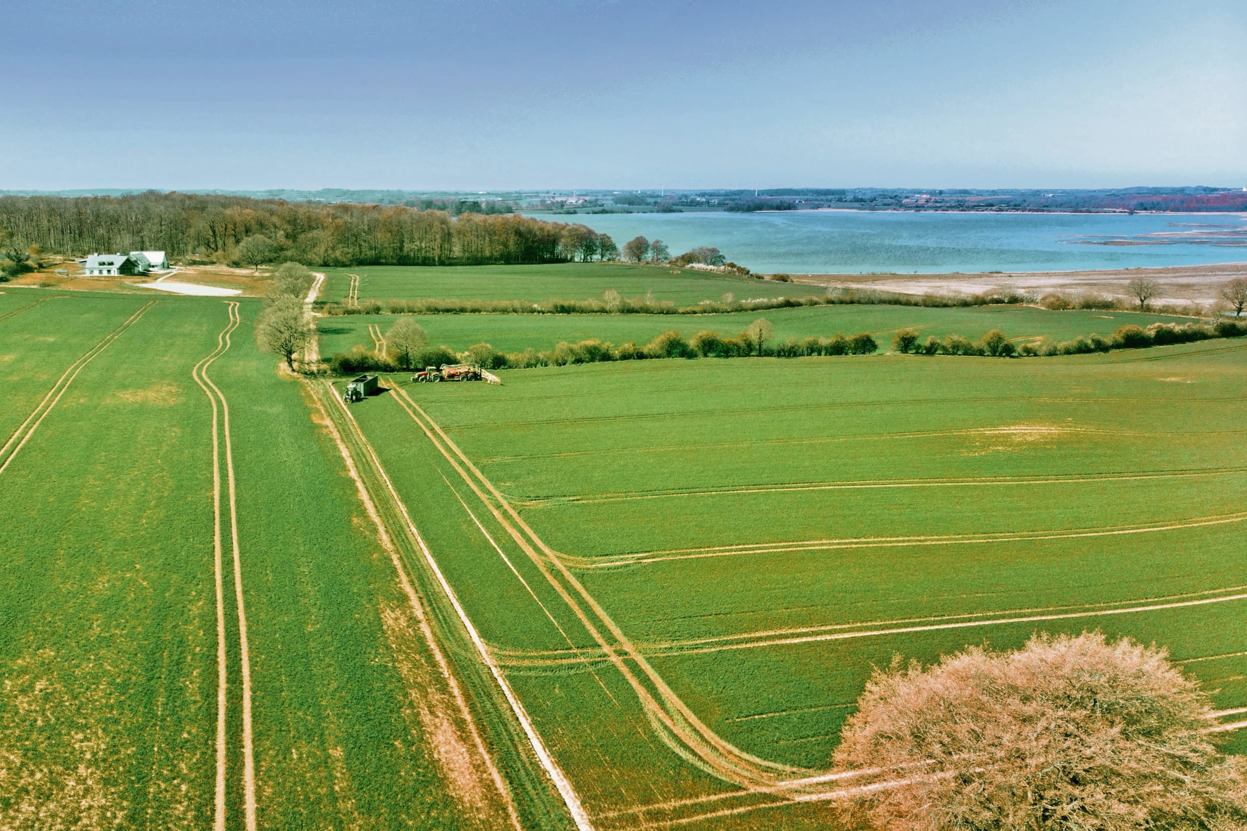 Deense biologische export