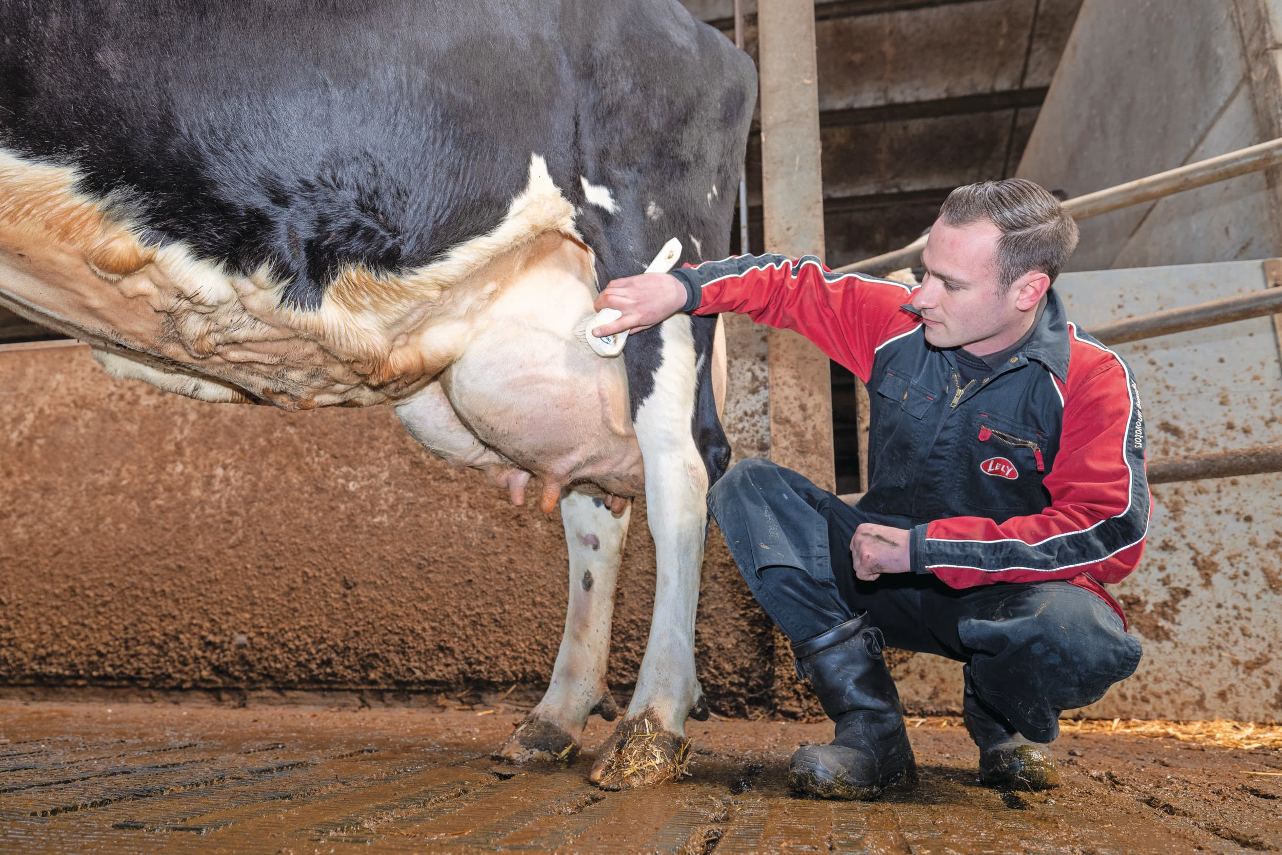 Bedrijfsopvolger Martin van Beek. Een goede melkproductie is belangrijk. Fokdieren verkopen gaat volgens Martin het best als je kunt laten zien dat er een goede productie onder zit. Foto’s: Peter Roek
