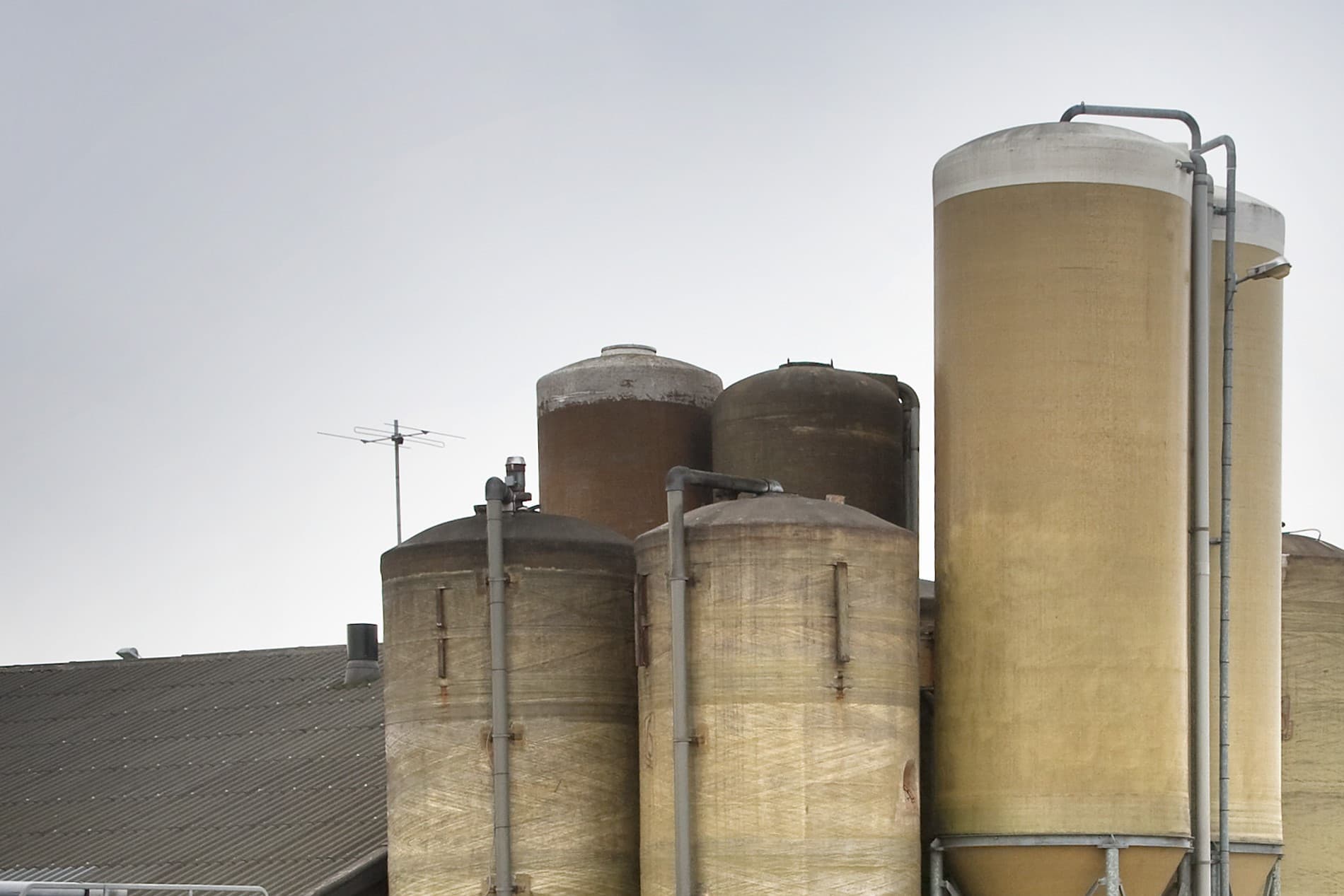 De provincie Gelderland belooft uitgekochte boeren te ondersteunen als de Europese Unie de opkoopregeling als ongeoorloofde staatssteun beschouwt. Foto: