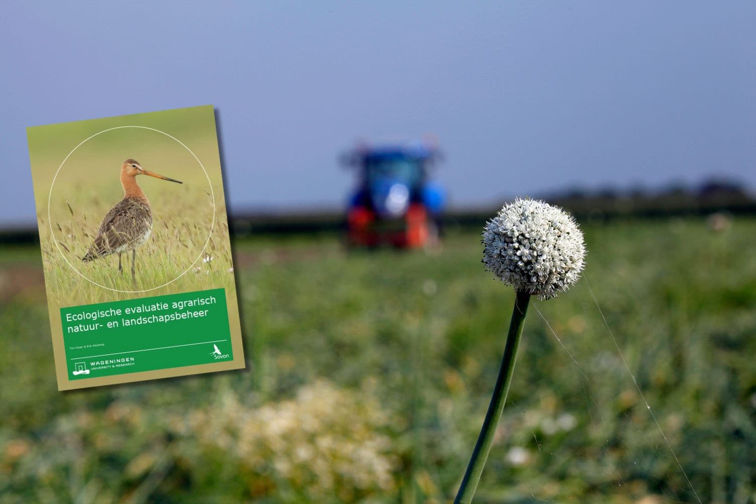 Nu valt 6% van alle landbouwgrond onder agrarisch natuurbeheer. – Foto: Martijn ter Horst