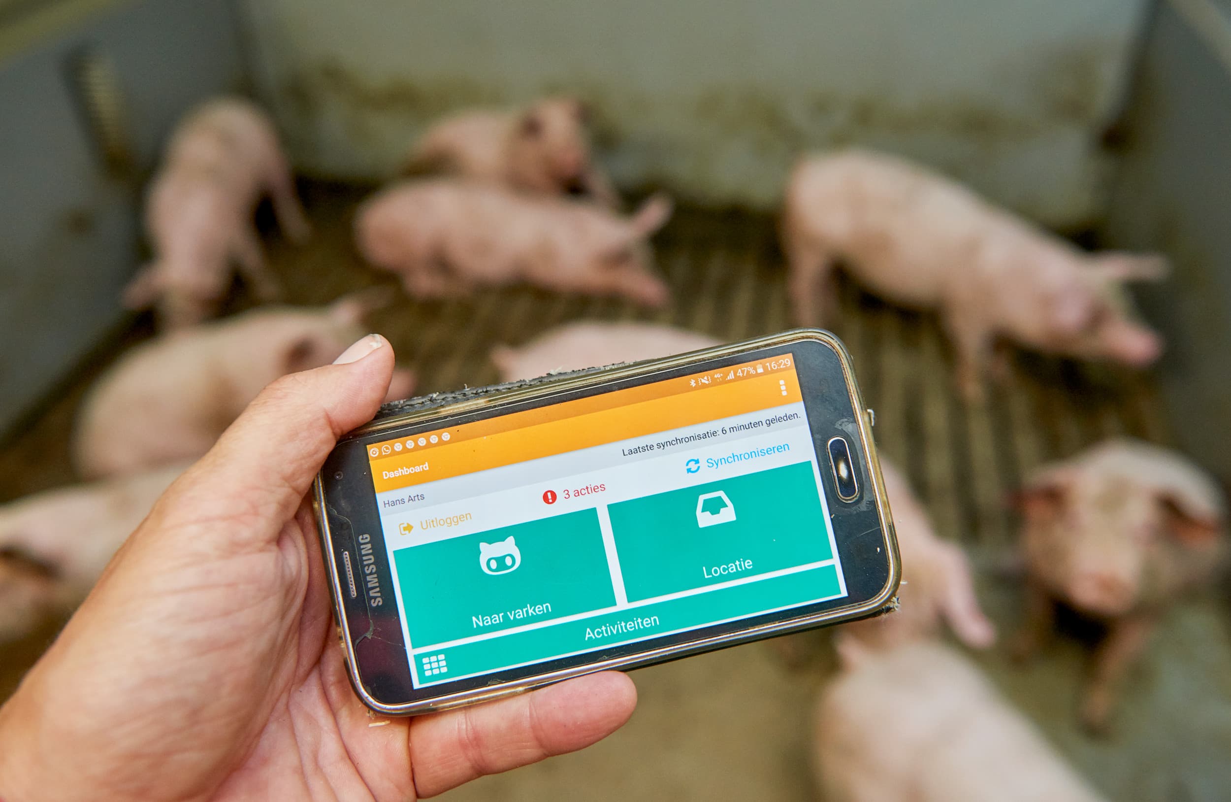 Registratie van antibioticagebruik bij varkens. Foto: Van Assendelft Fotografie