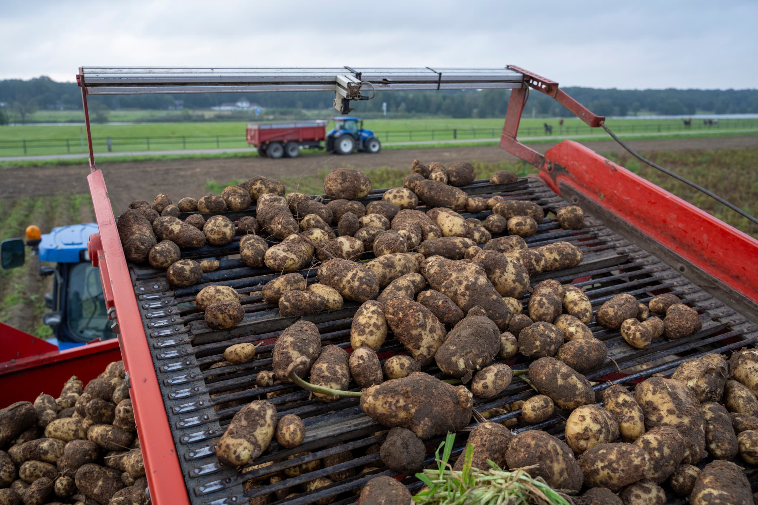 misstanden Belgische aardappelcontracten