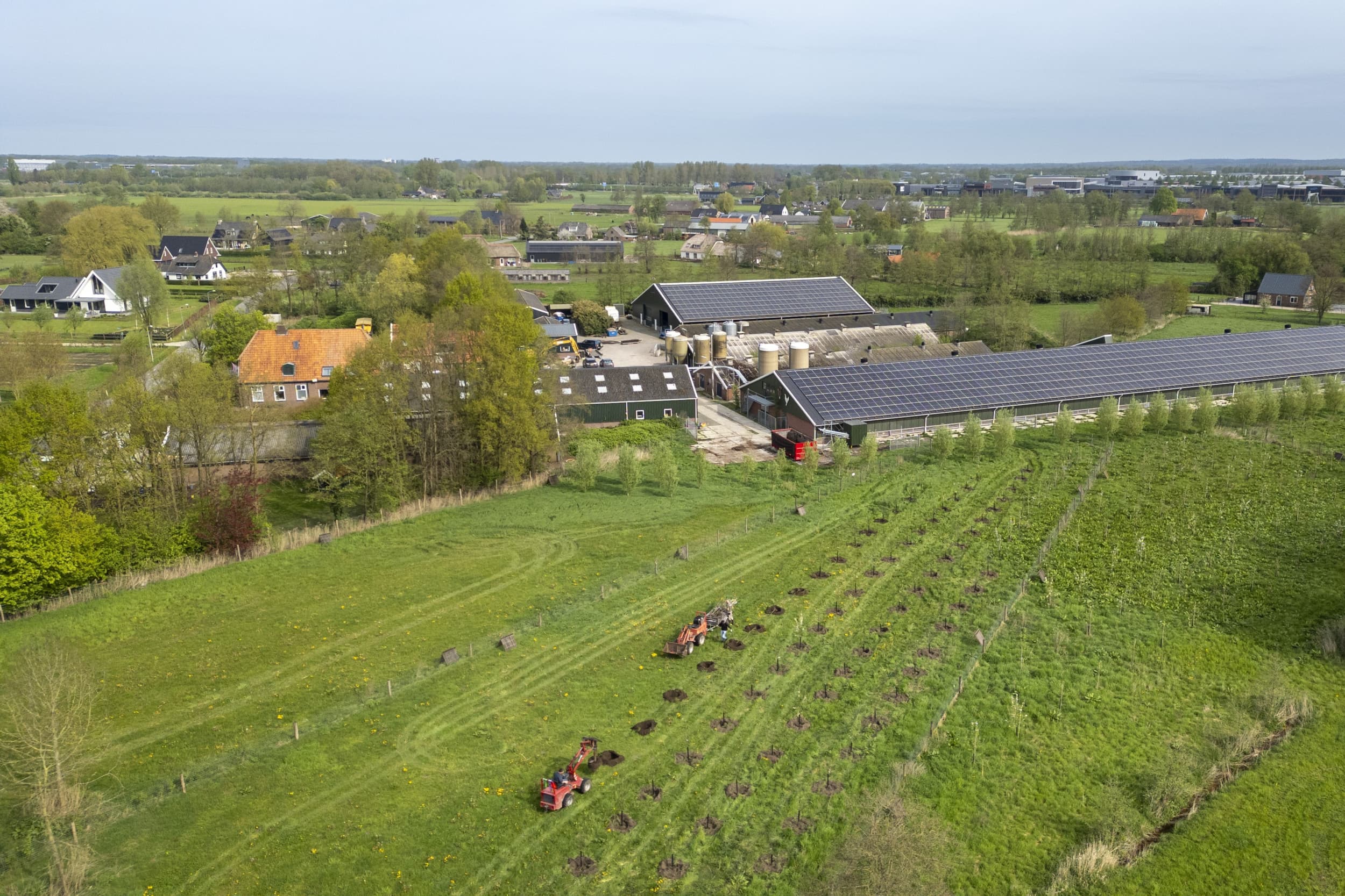 sanering veehouderij heeft gevolgen voor cultuurlandschap