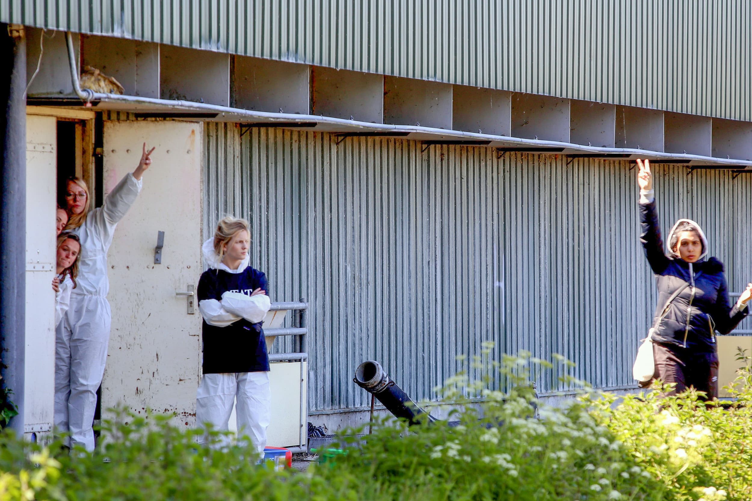 Dierenactivisten van Meat the Victims bezetten in mei 2019 een varkensstal in Boxtel (N.-Br.). De vrijspraak leidt tot felle reacties. Foto: Bert Jansen