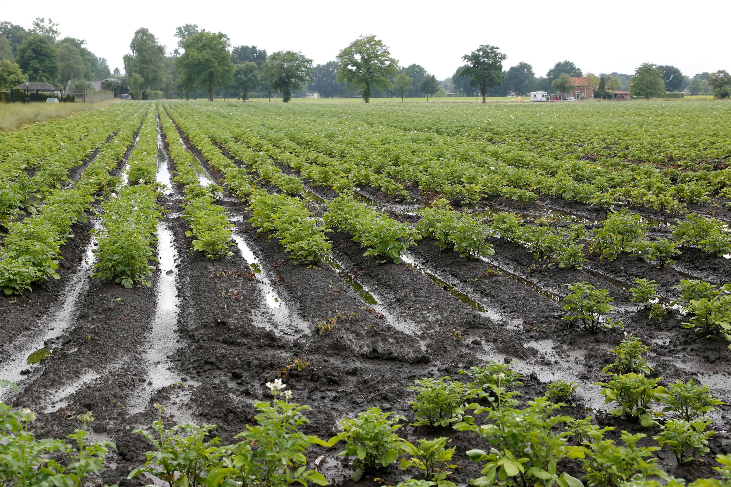 Waterschap Limburg boetes sleuven