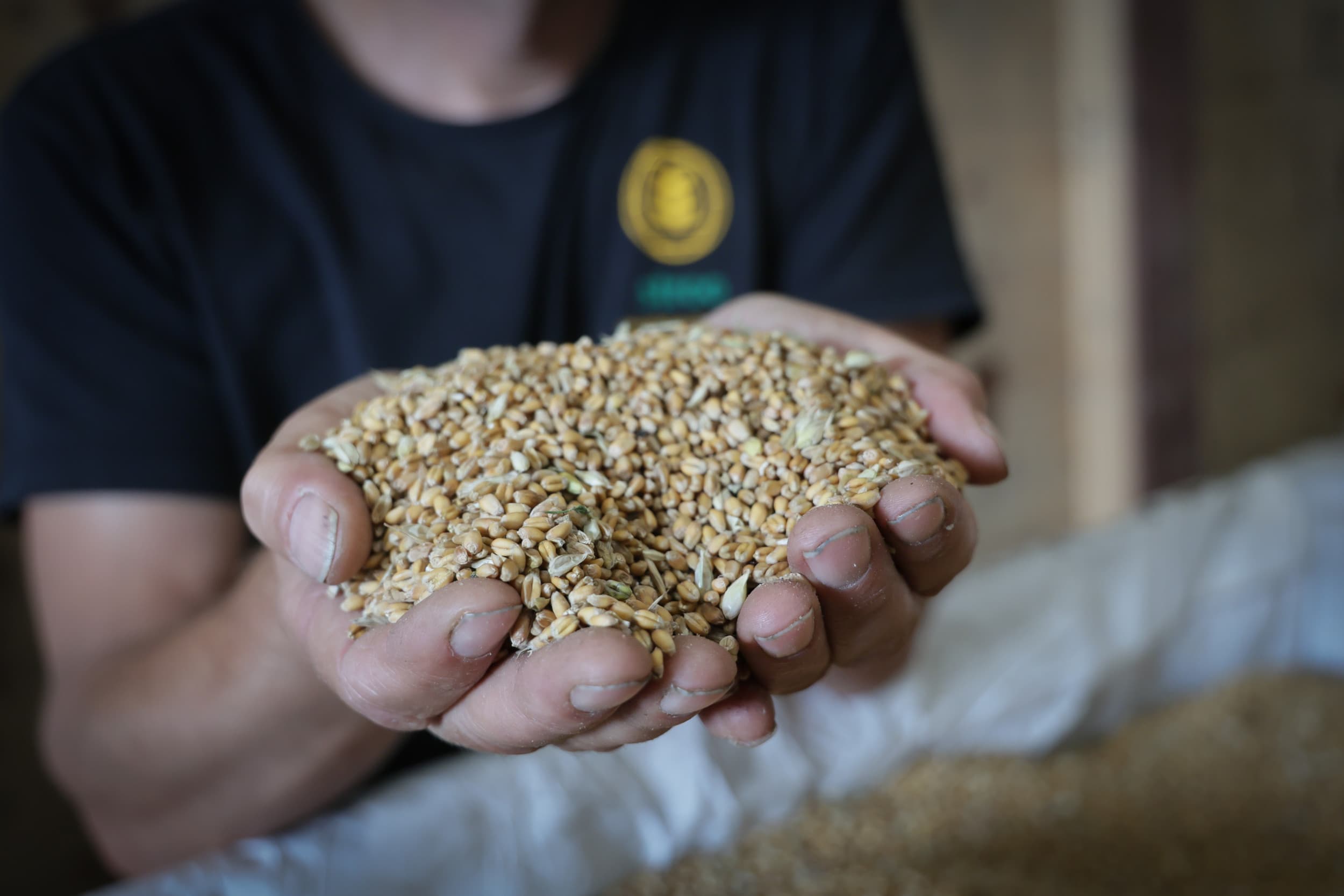 Agrifirm eiwitrijke gewassen