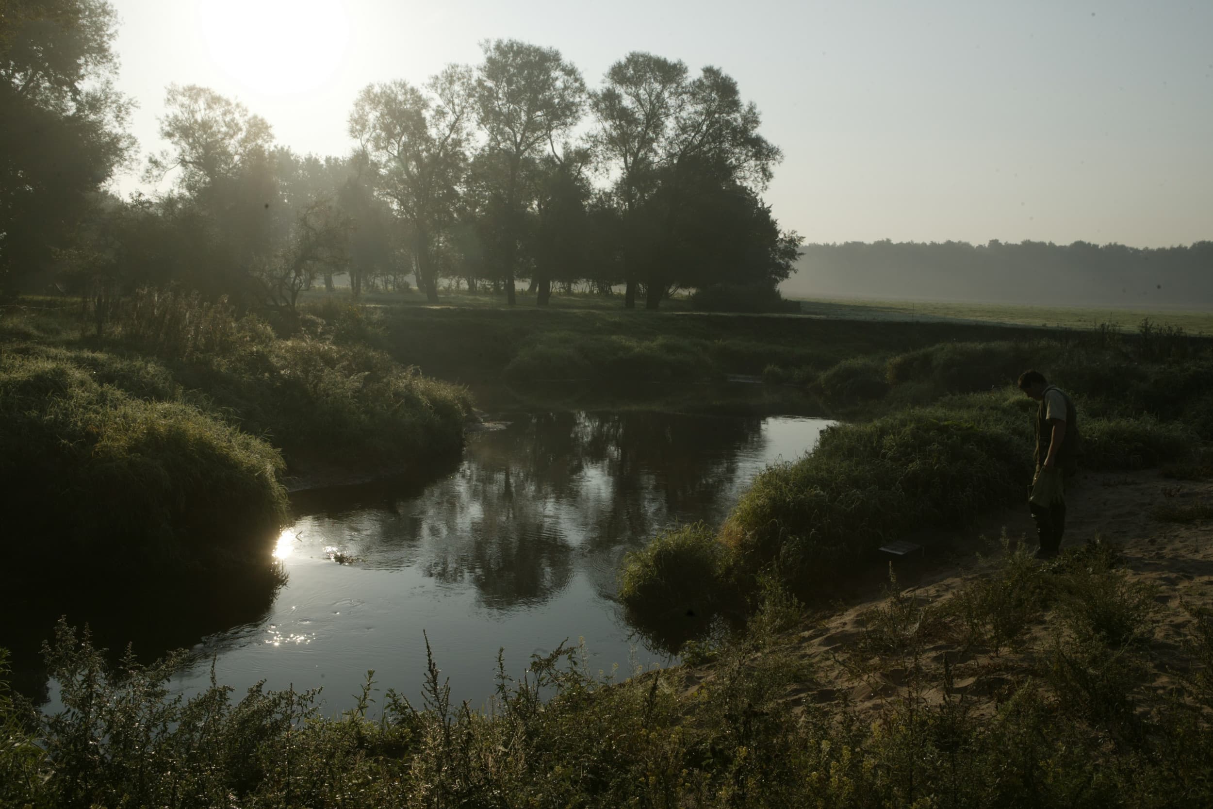 toolboxkaart regelgeving bufferstroken