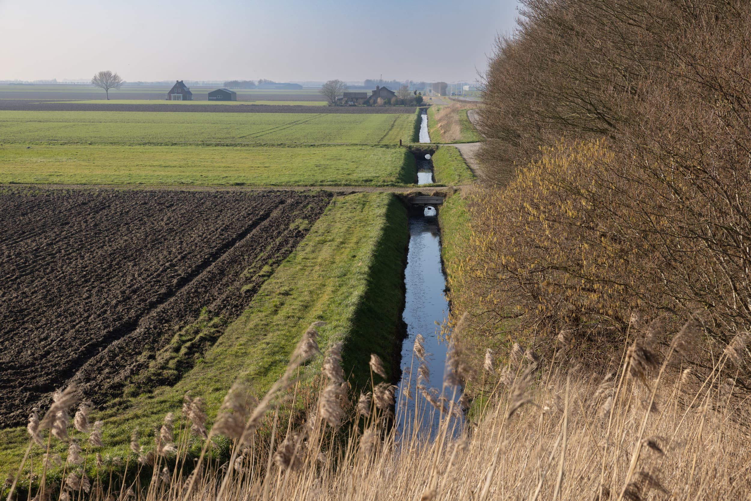 Het PBL stelt dat naast de €500 miljoen per jaar extra investeringen nodig zijn voor gebiedsgerichte aanpak, landschapselementen, grondherwaardering en extensivering. Foto: Peter Roek