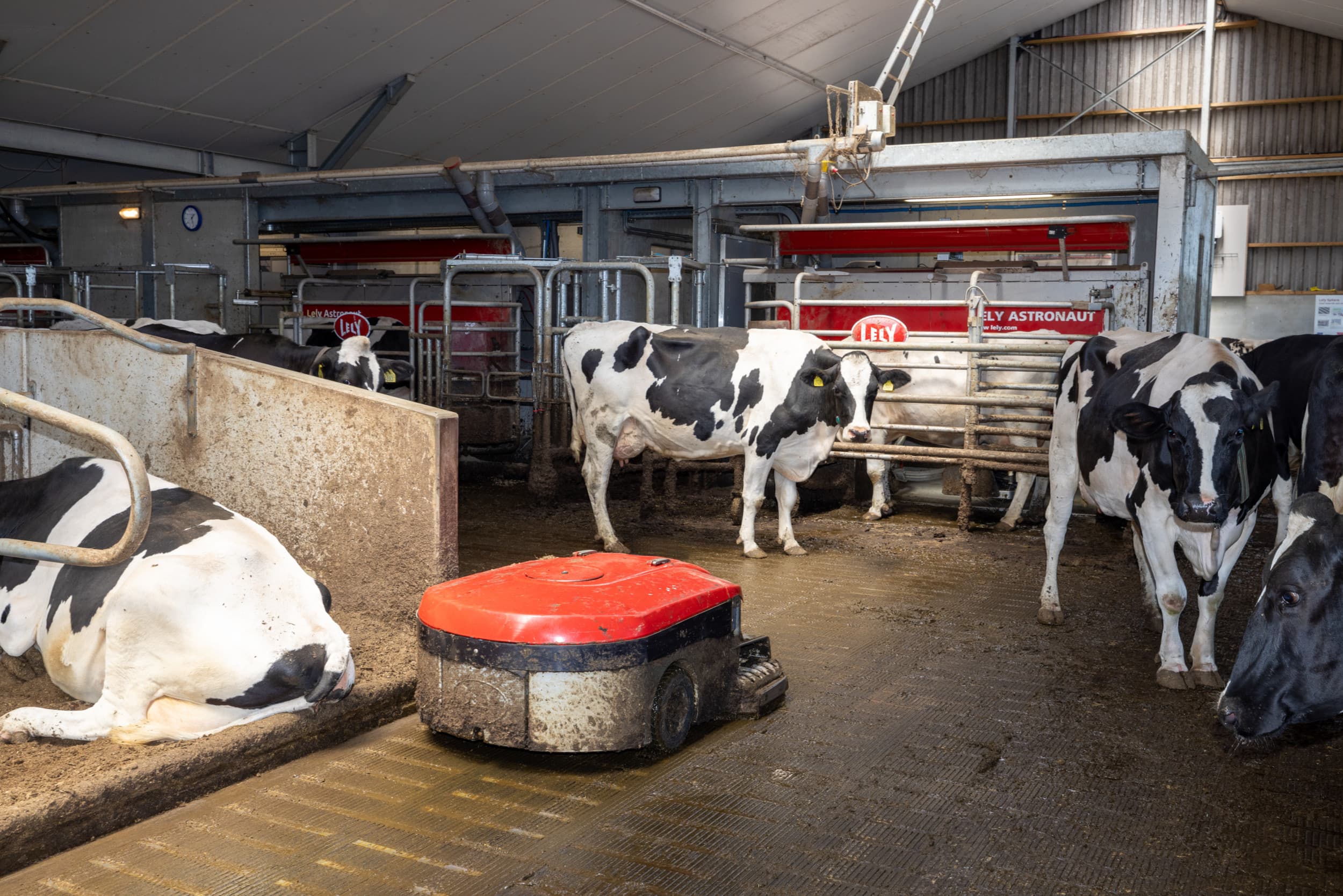 De mestrobot maakt deel uit van de emissiearme techniek Lely Sphere. Foto: Peter Roek