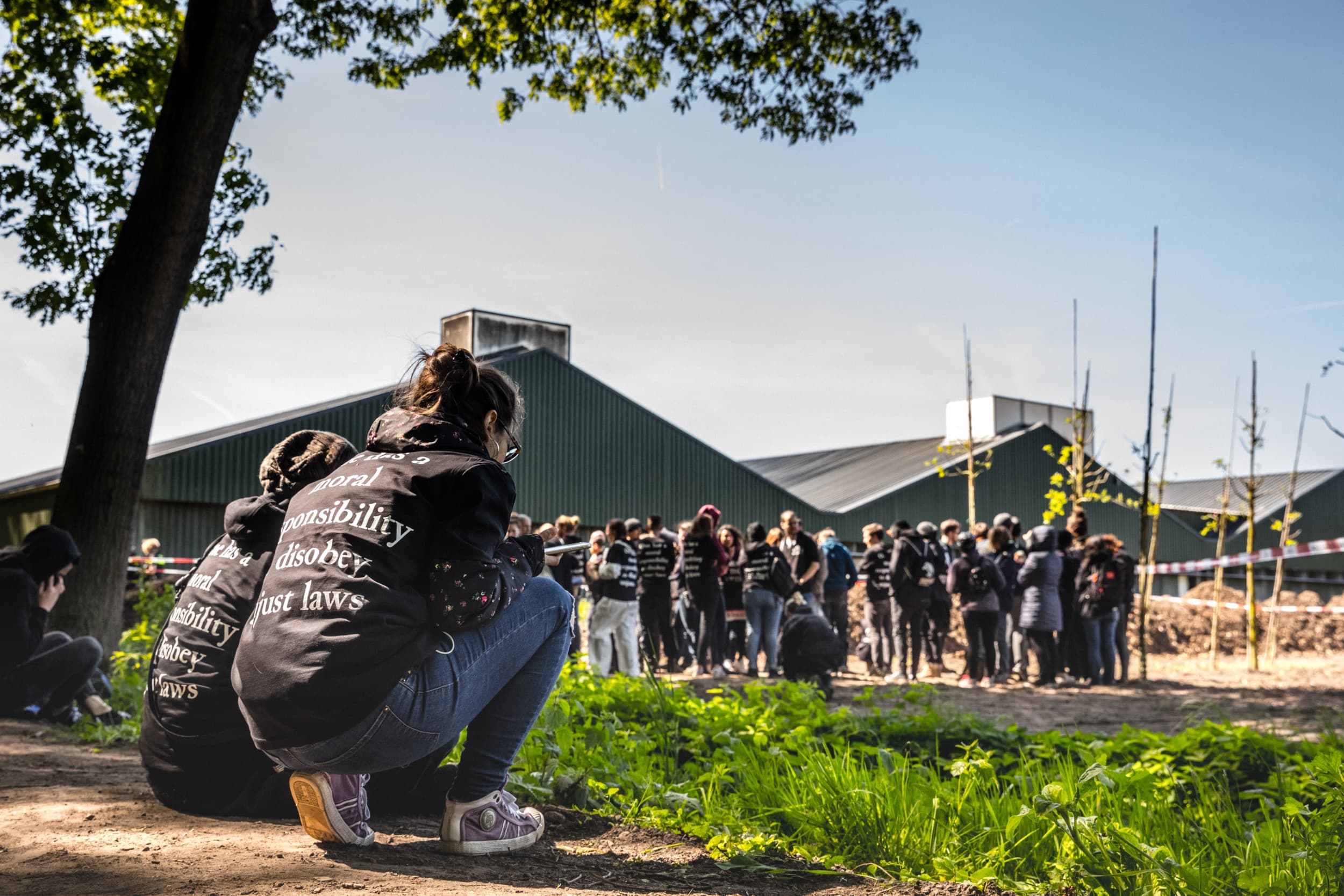 13 mei 2019. Dierenactivisten bezetten een boerderij in Boxtel (N.-Br.) en demonstreren voor een beter welzijn van dieren in de veehouderij. Foto: ANP