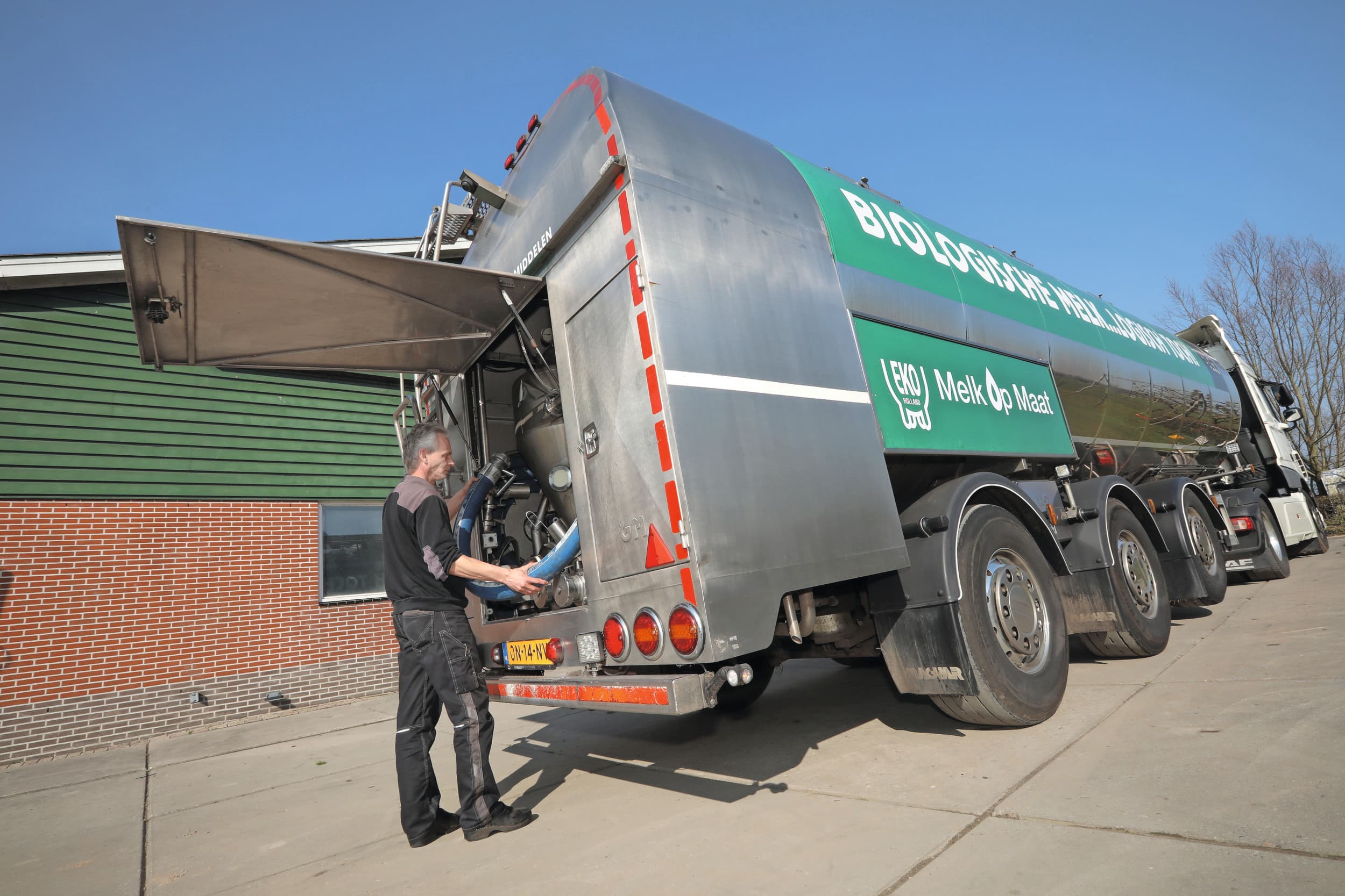 Op de Europese markt heerst krapte aan biologische melk. Veehouders profiteren daar van. De melkprijs van gemiddeld €0,66 dekt de kosten voldoende. Foto: Henk RIswick