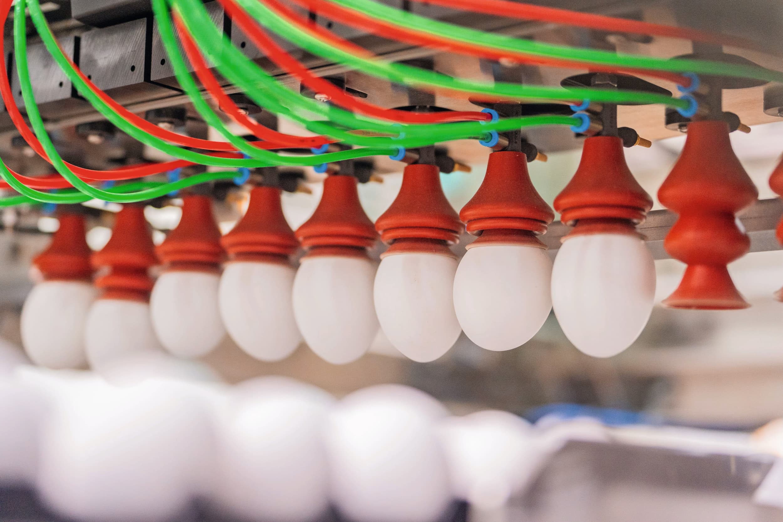 in 2026 niet meer eendagshaantjes doden