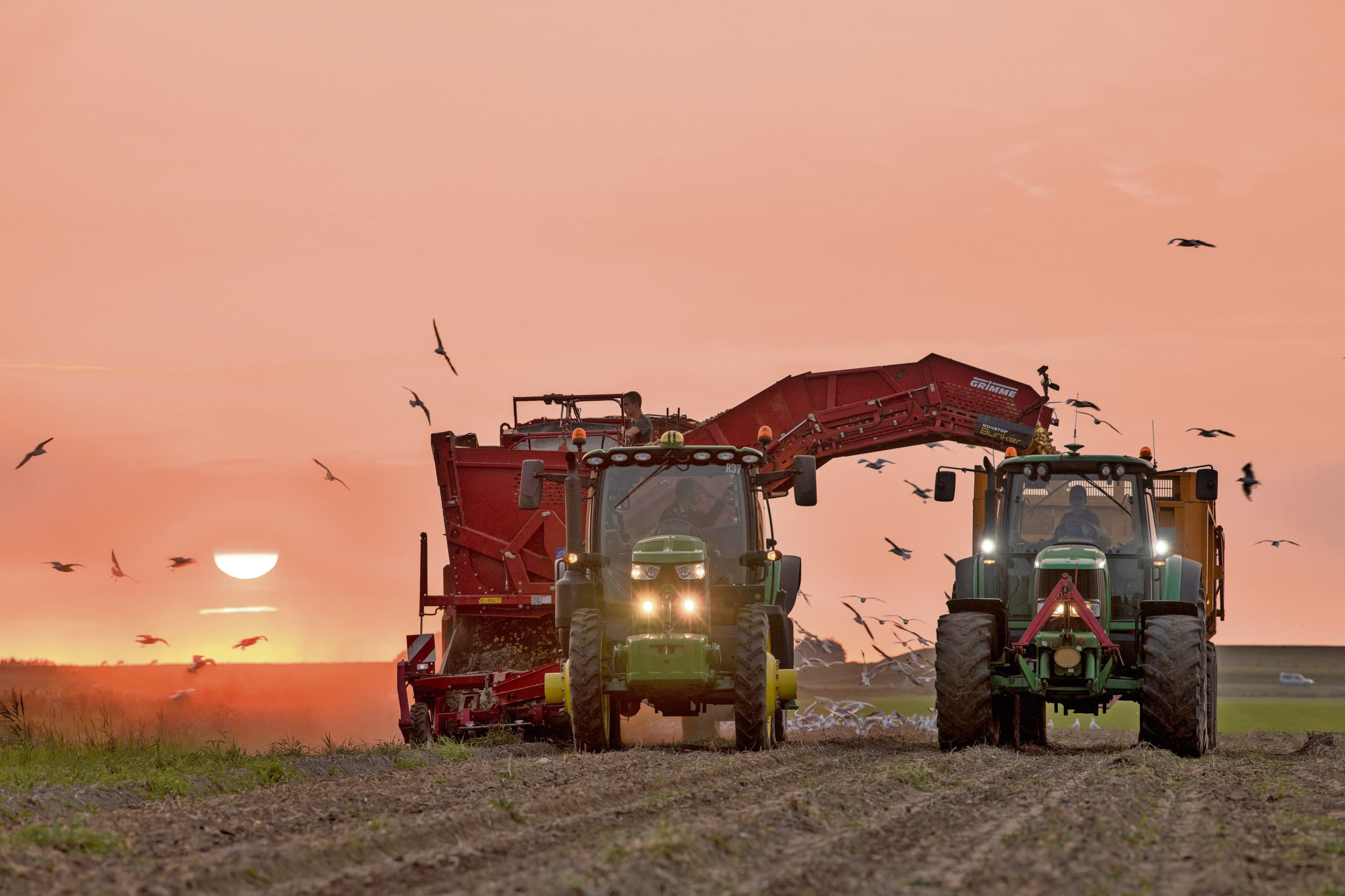 Aardappeloogst. In Frankrijk, Duitsland, Nederland en België is dit jaar 1,6 miljoen ton meer aardappelen geoogst dan vorig jaar. Foto: Mark Pasveer