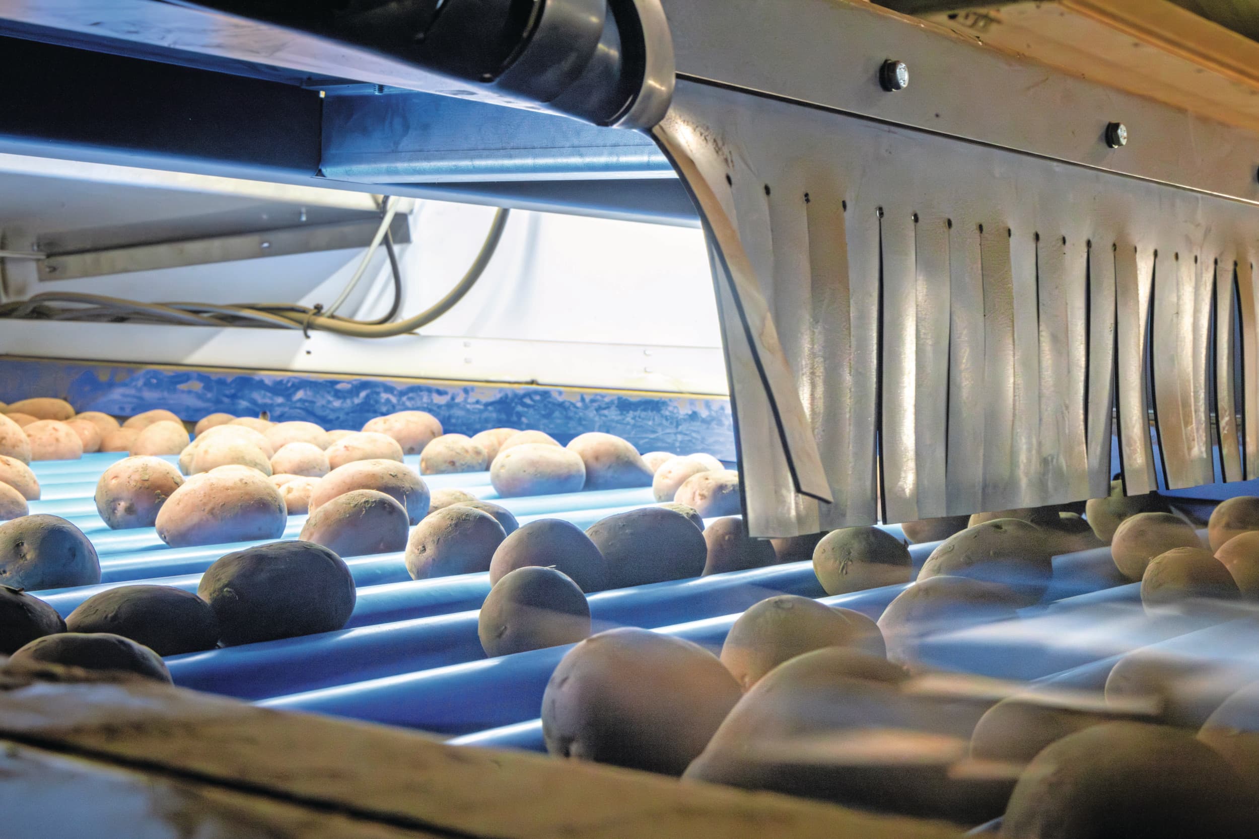 AI is key voor duurzame akkerbouw en hoger rendement