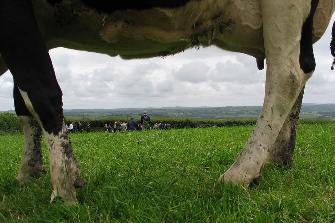 Britse melkproductie Verenigd Koninkrijk