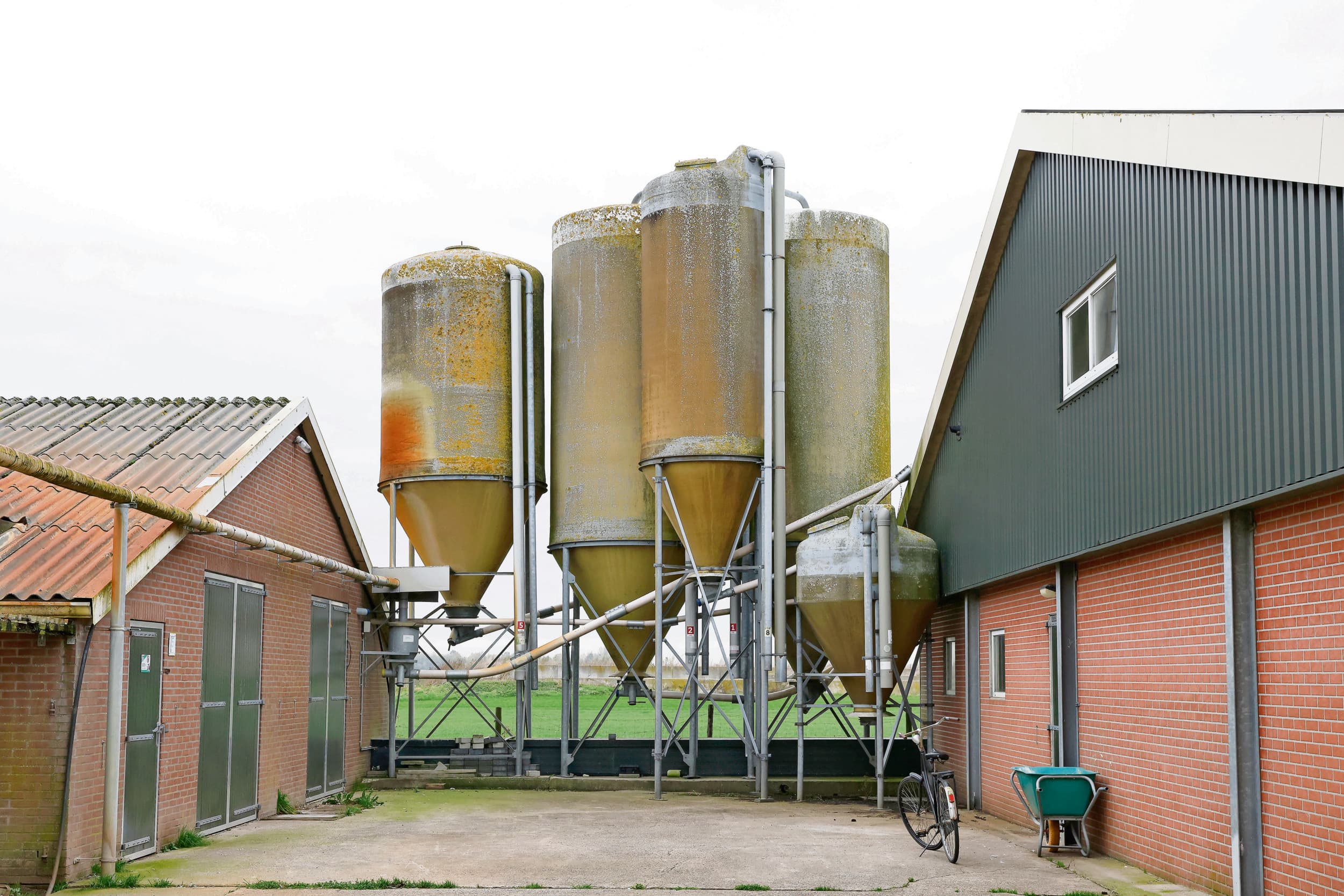 Silo's op een pluimveebedrijf. ABZ Diervoeding verkocht vorig jaar meer pluimvee- en herkauwersvoer, maar minder varkensvoer. Foto: Ton Kastermans Fotografie