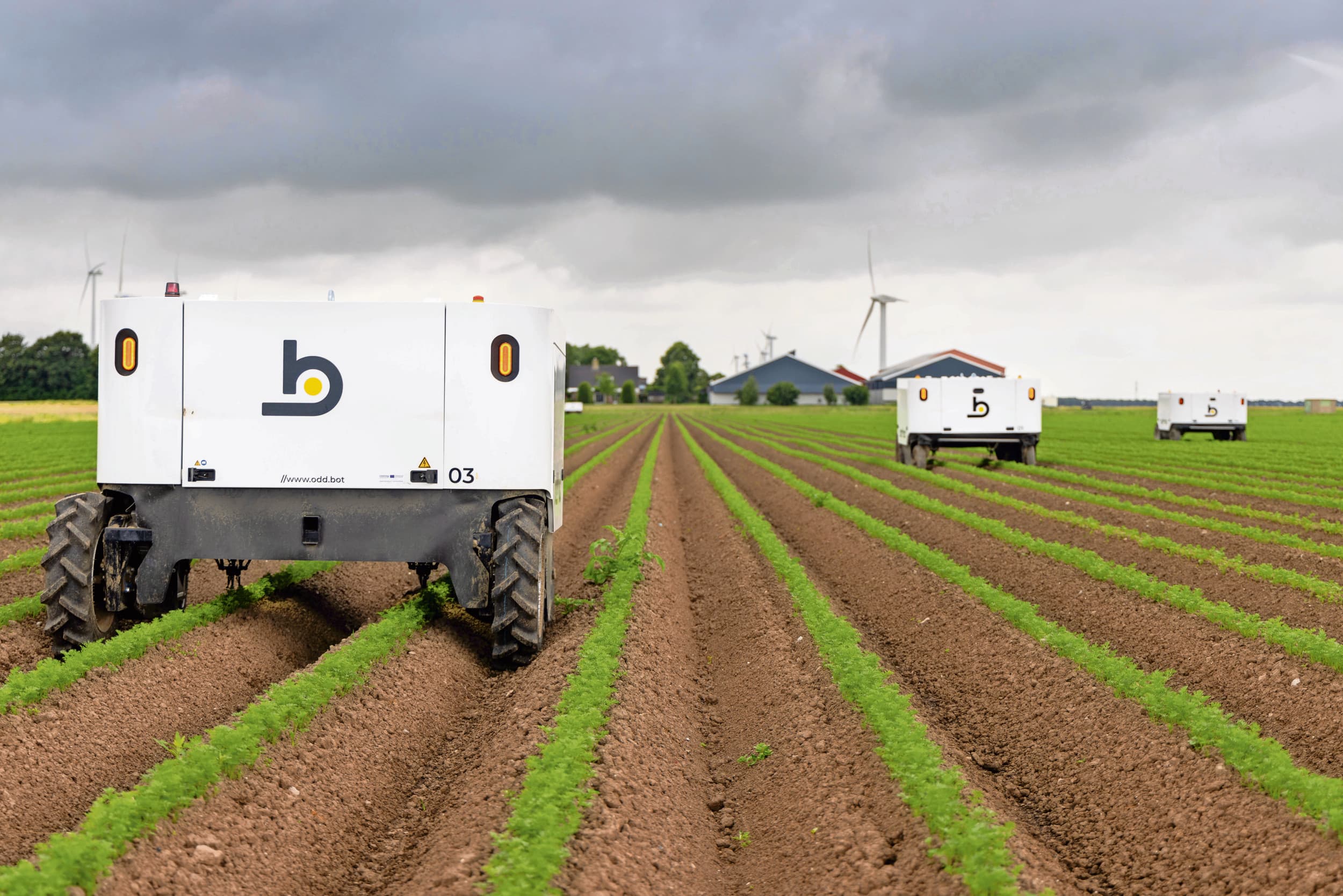 Oddbot onkruidwieder. Provincie Noord-Holland heeft volgend jaar €4,8 miljoen beschikbaar voor het maken en uitvoeren van gebiedsplannen voor klimaat-, bodem-, water-, biodiversiteits- en landschapsdoelen. Het geld kan onder meer gebruikt worden voor robotisering. Foto: Koos Groenewold