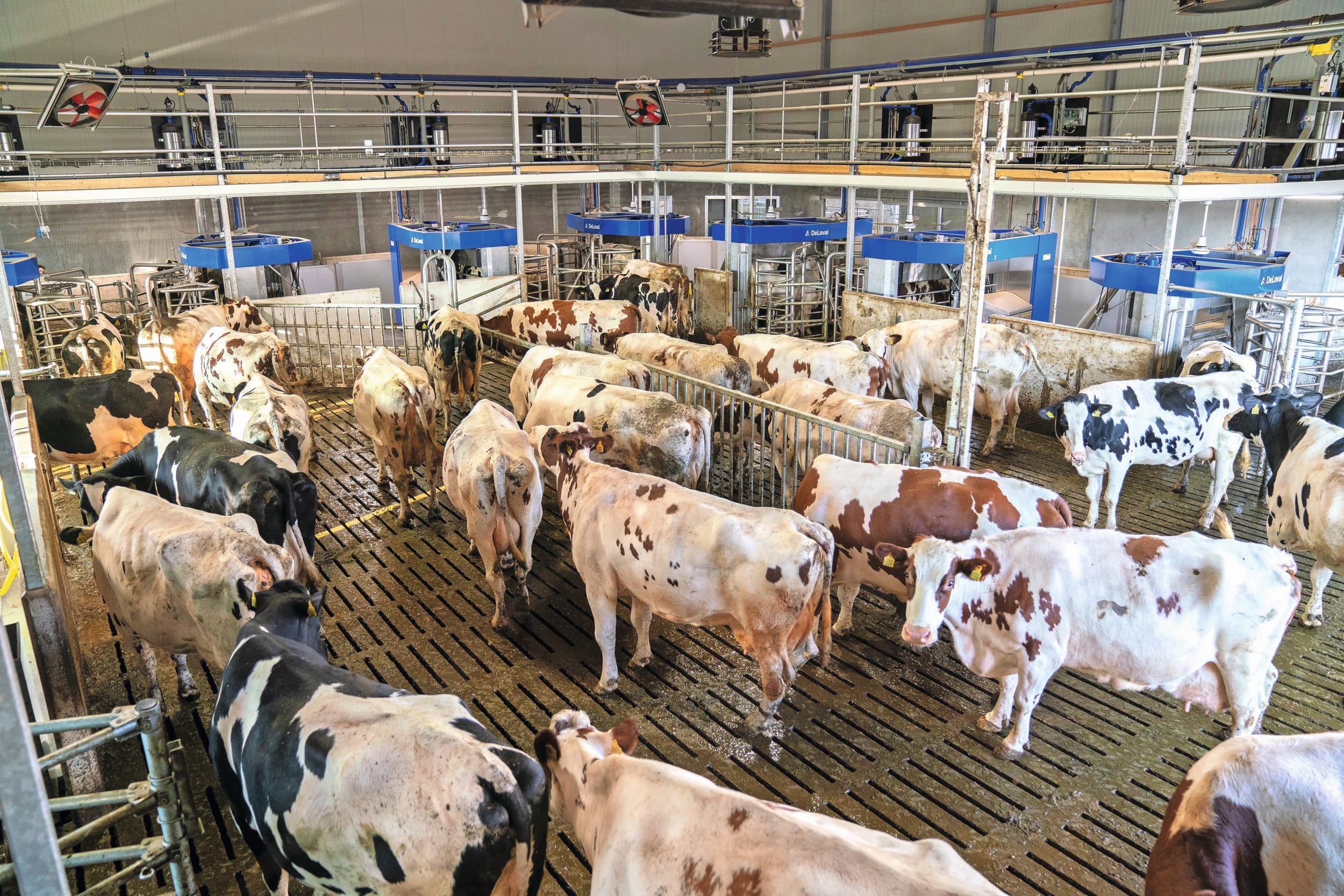 batchmelken DeLaval