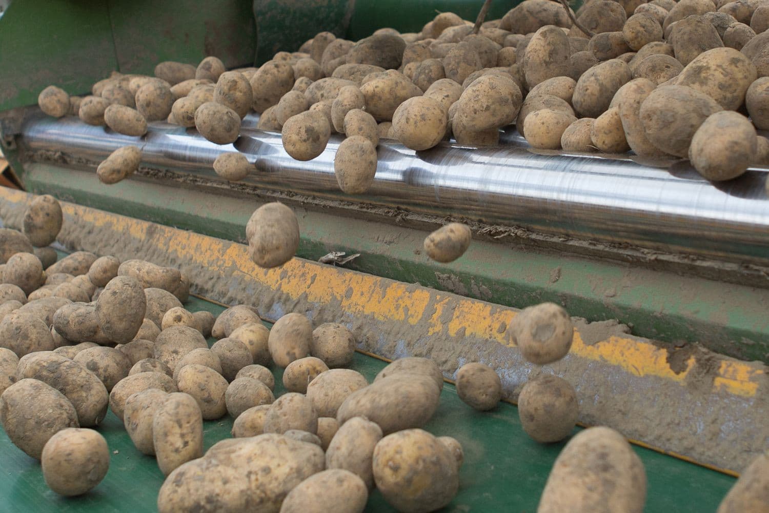 Farm Frites, sinds 2016 actief in Australië, vervangt import uit Europa door lokale aardappelen en investeert hiermee op lange termijn in de Australische landbouw. Foto: Peter Roek