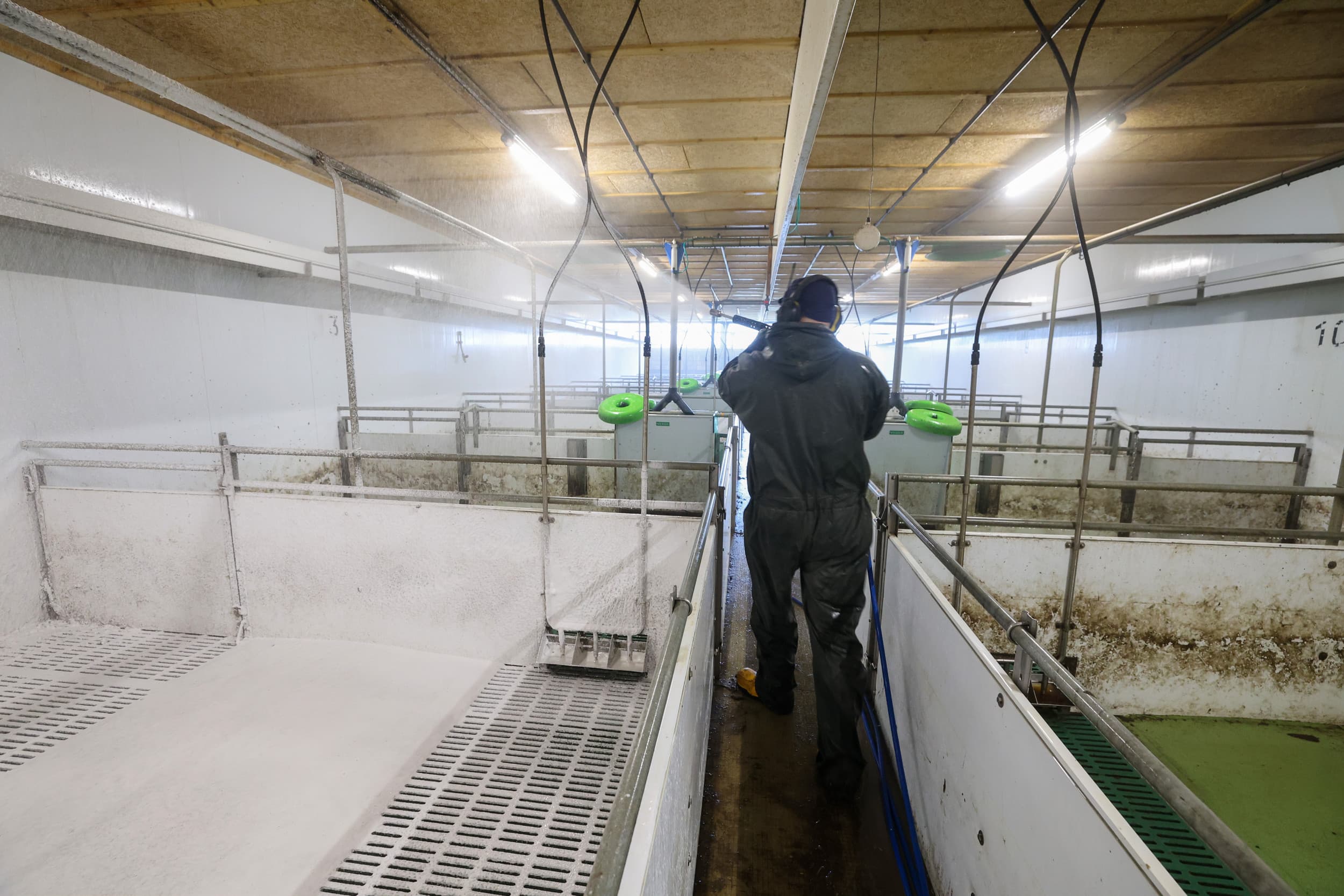 Veel schoonmaakwerk wordt gedaan door zzp’ers. ABN Amro verwacht dat handhaving op schijnzelfstandigheid van zzp’ers een flinke impact zal hebben in de agrosector volgend jaar. Foto: Bert Jansen