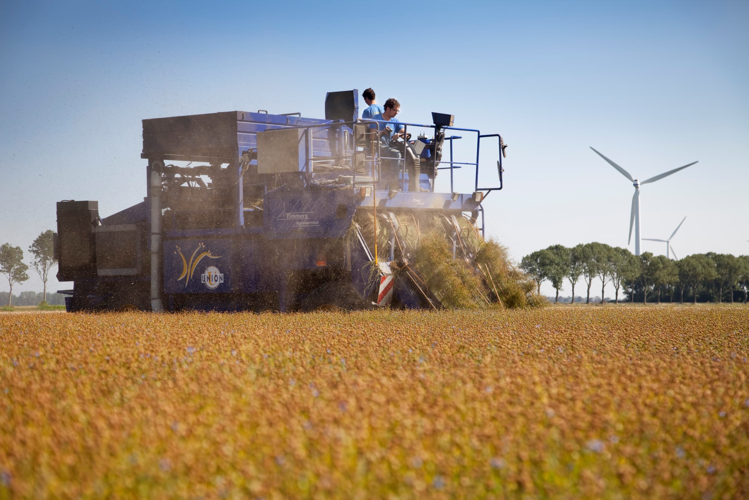 De productie van biobased bouwmaterialen uit hennep en vlas is technisch haalbaar, maar ketenpartijen wachten op elkaar, waardoor grootschalige toepassing uitblijft. Foto Jan Willem Schouten