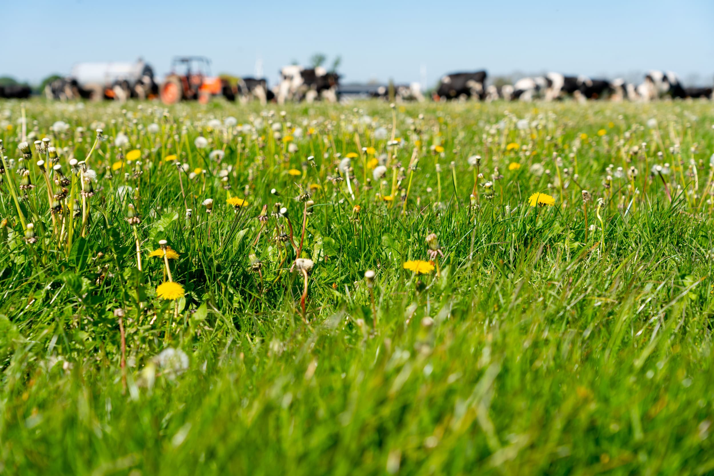 De klimaat-, biodiversiteit-, en waterkwaliteitsopgave is niet enkel een opgave van de boeren. – Foto: Jan Willem Schouten