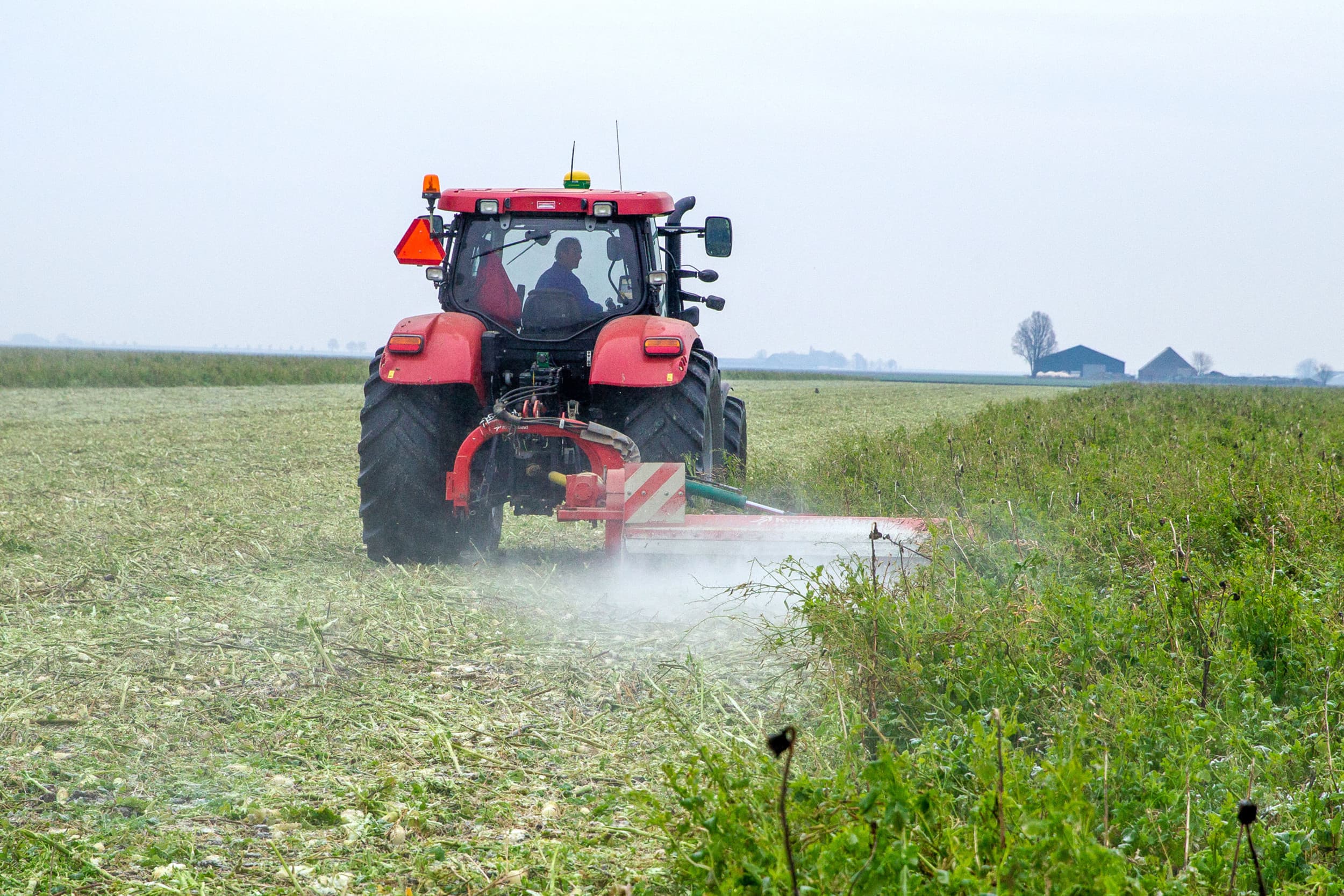 Nederlandse boeren ontvangen een relatief lage GLB-premie per hectare in vergelijking met andere EU-landen, terwijl hun productiekosten veel hoger zijn. Foto: Koos van der Spek