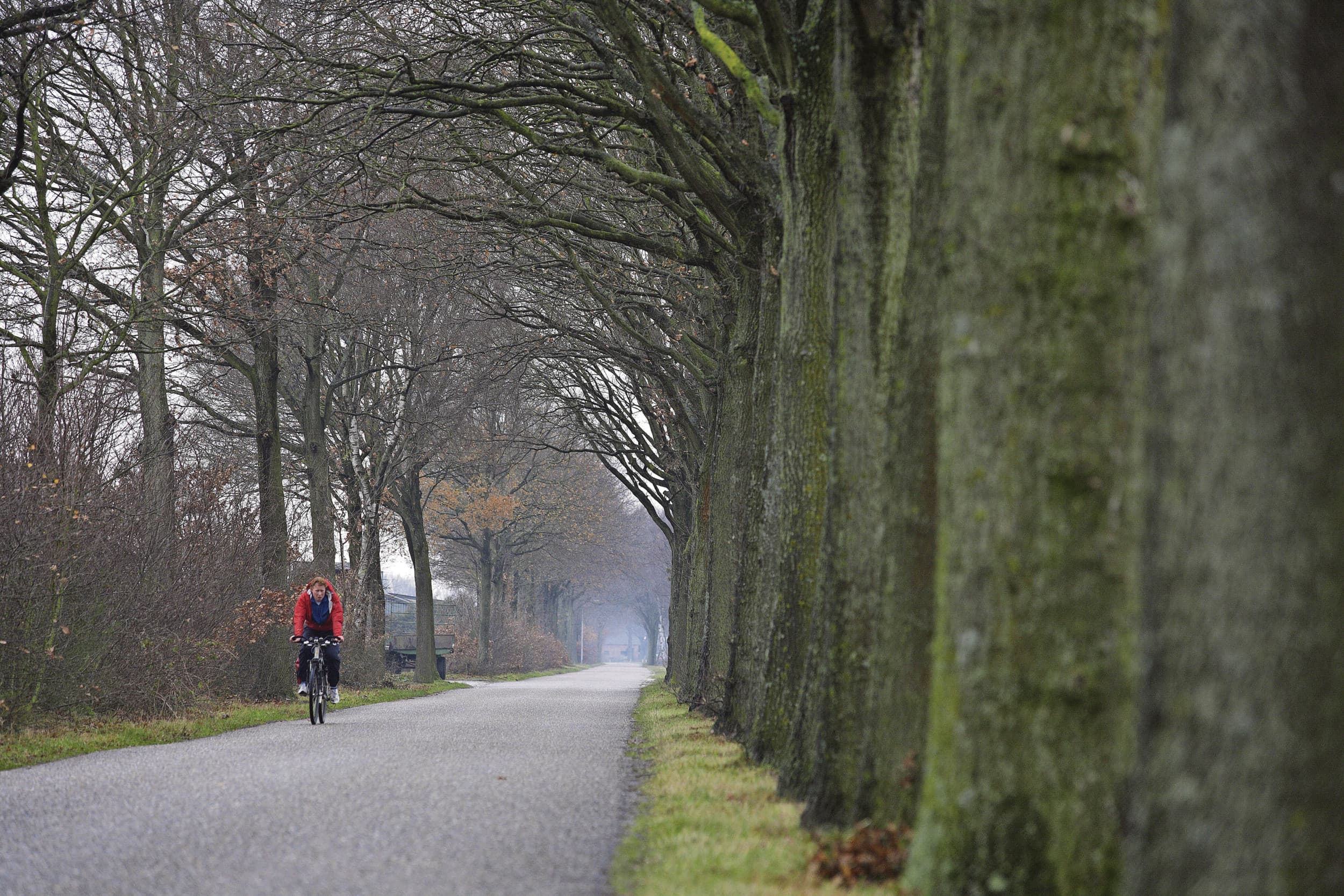 Een fietser geniet van het buitengebied, waar volgens CBS de brede welvaart vaak hoger is dan in steden. Foto: Hans Prinsen