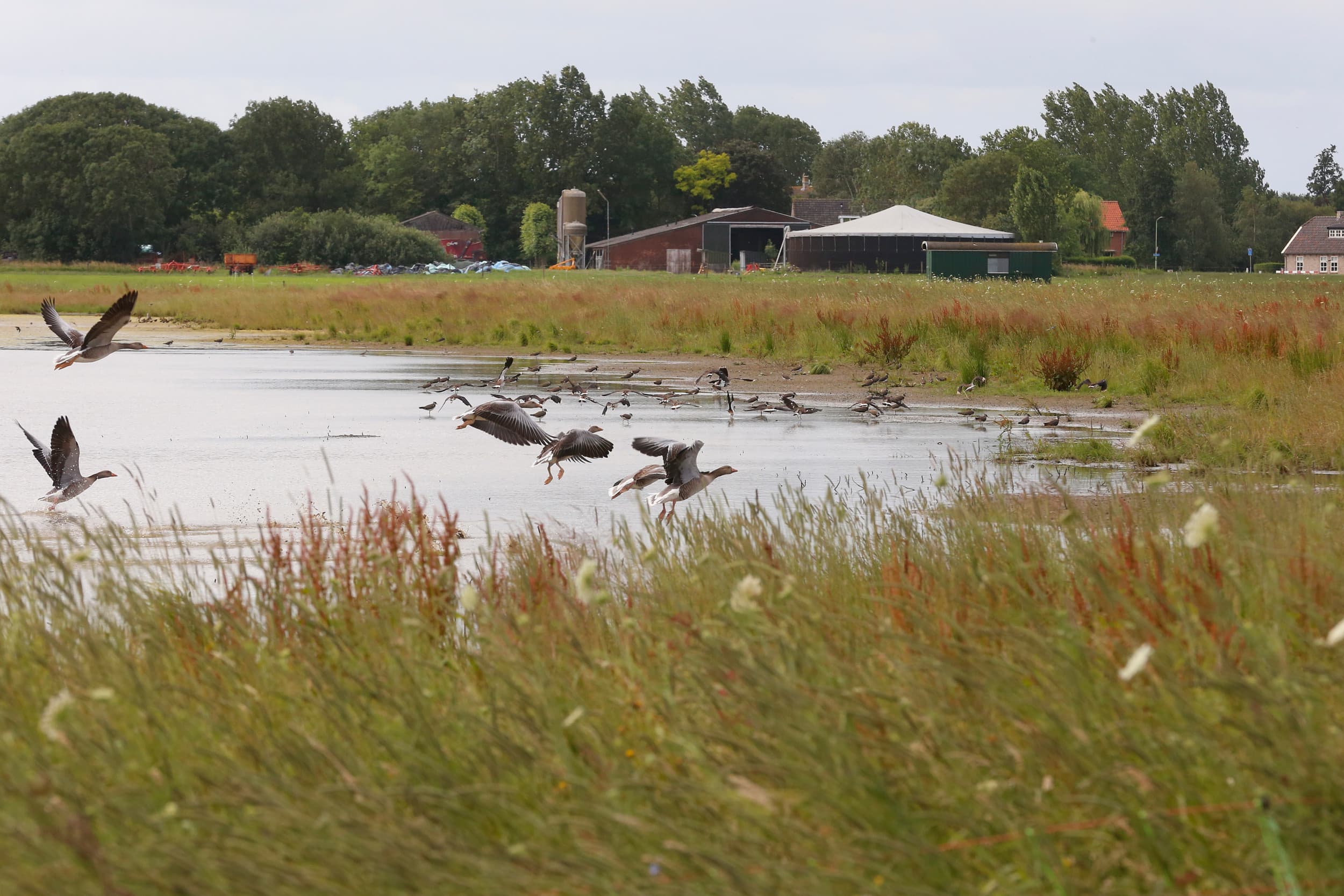 Foto: Hans Prinsen