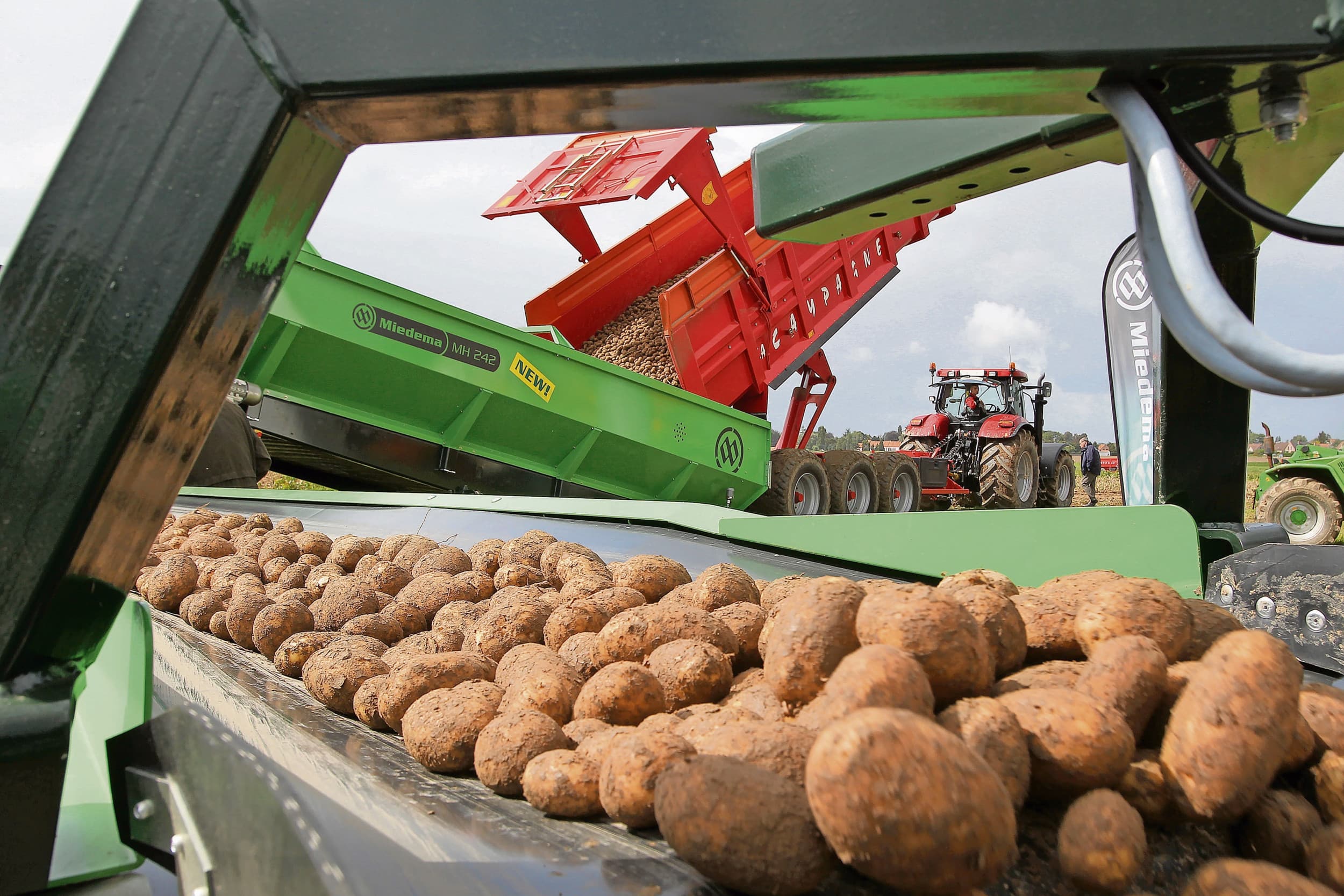 lage opbrengst aardappelen België