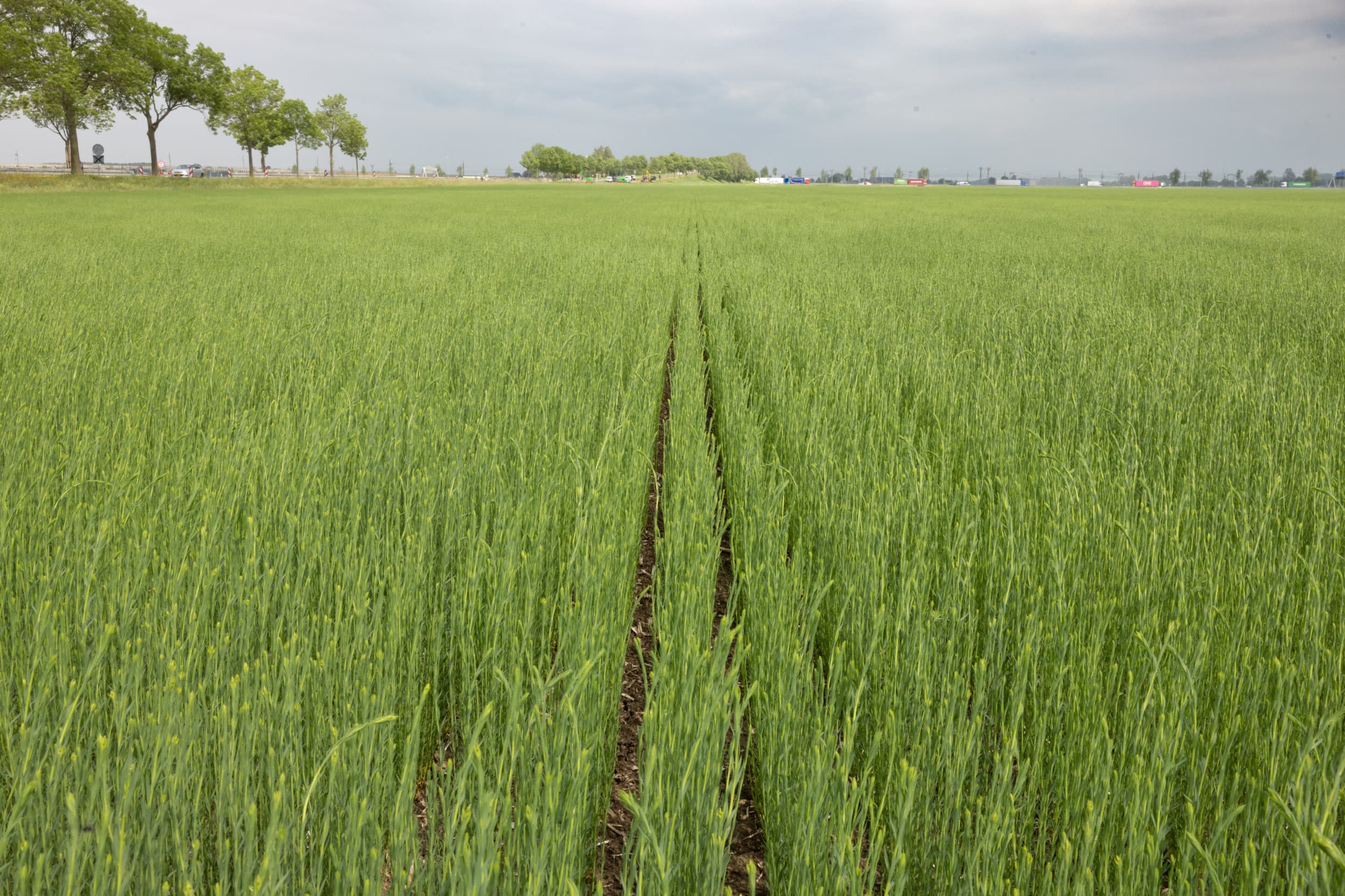lagere uitstoot broeikasgassen landbouw