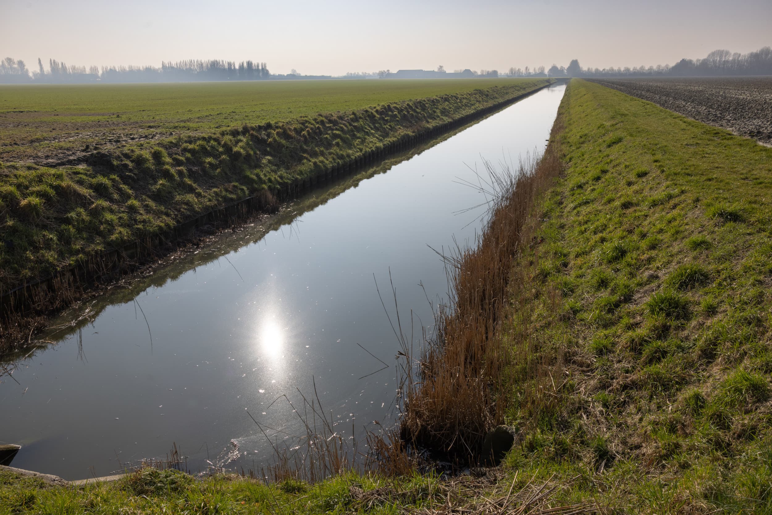 Foto: Peter Roek