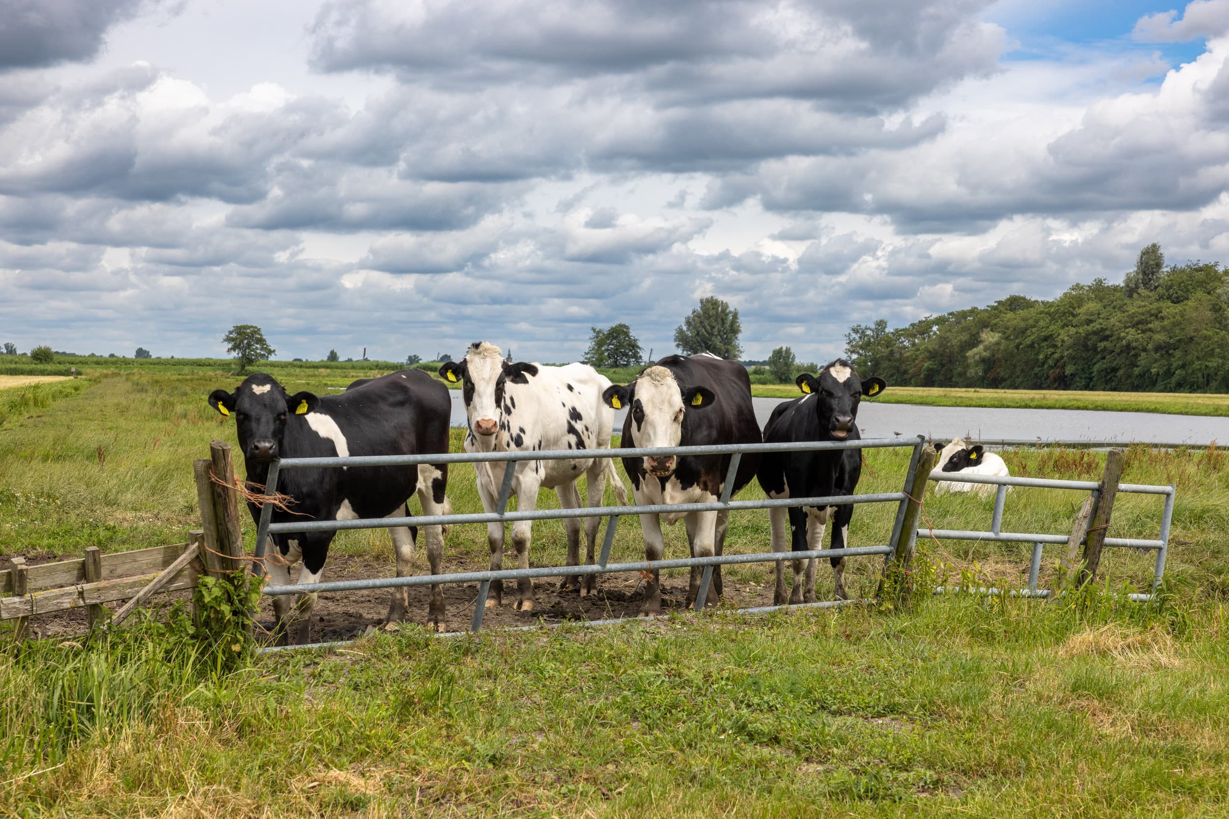 politieke borging emissiedaling natuurherstel