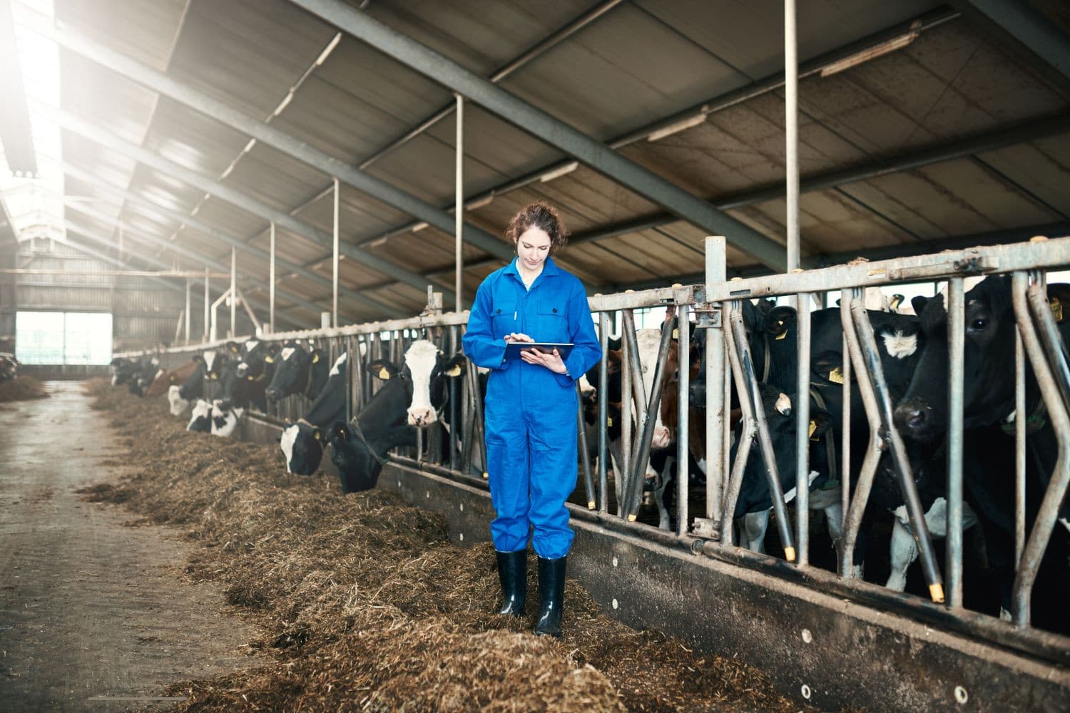 Nu de Europese Commissie werkt aan de herziening van het Gemeenschappelijk Landbouwbeleid (GLB) voor 2027-2032, groeit de aandacht voor gelijkheid tussen mannen en vrouwen in de landbouw. Foto: Canva