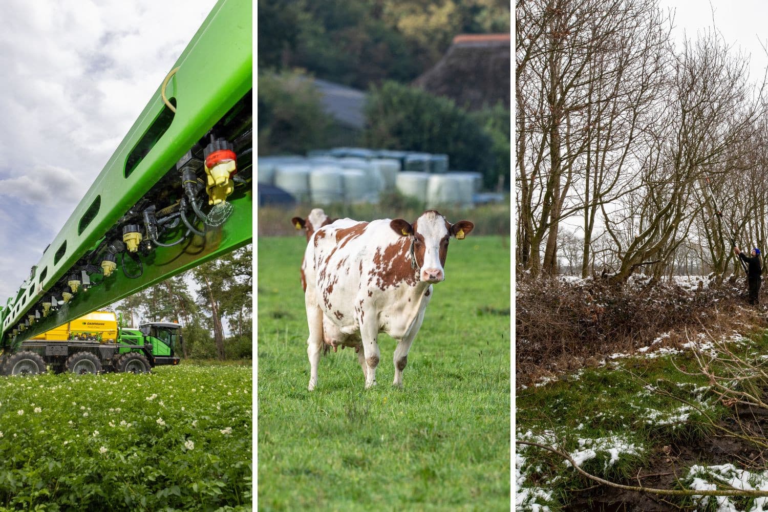 D66 wil spuitvrije zones juridisch borgen, een opkoopregeling voor melkkoeien om de mestmarkt te verlichten en ANLb-geld inzetten om achterstanden in NatuurNetwerk Nederland weg te werken. Foto’s: Peter Roek, Koos Groenewold en Anne van der Woude